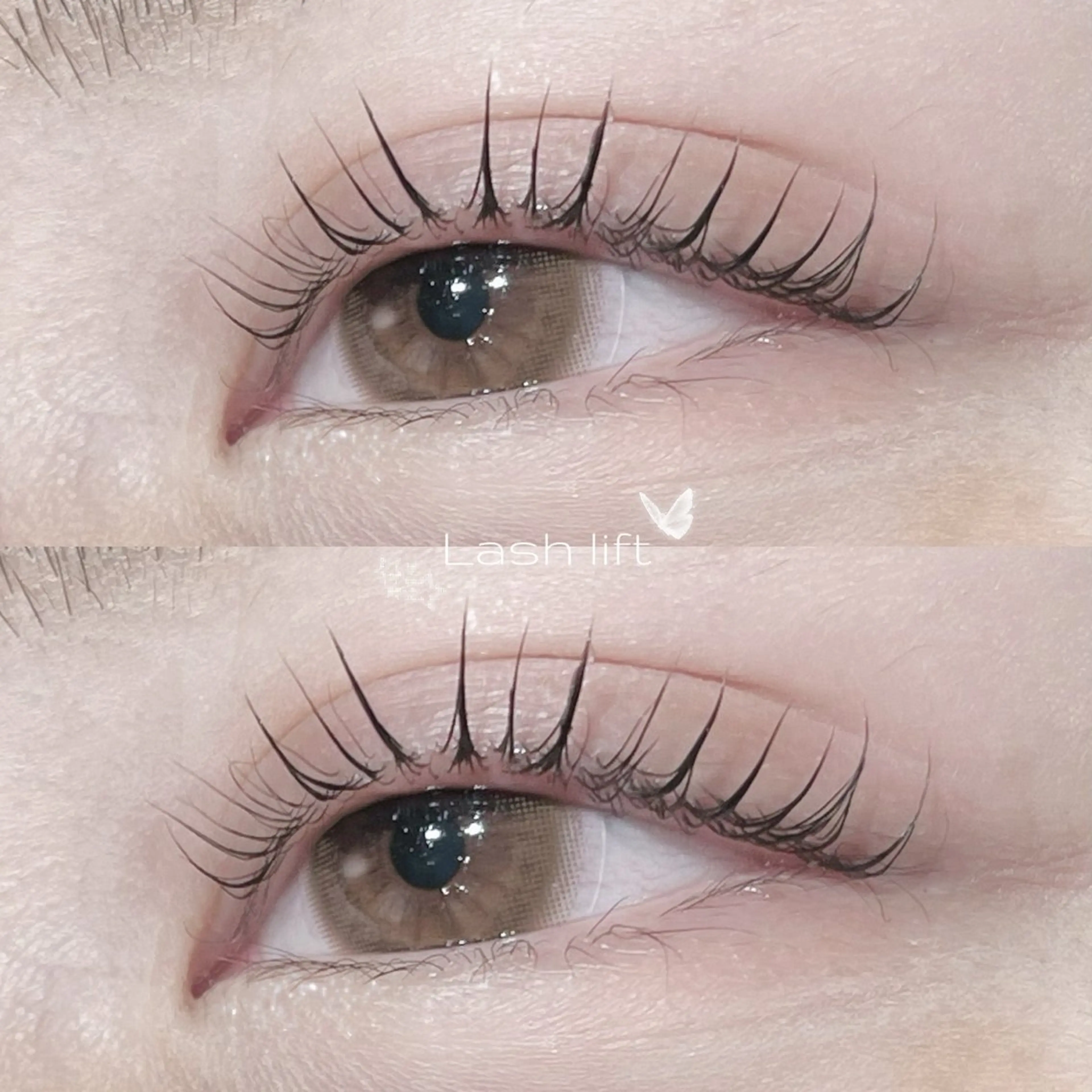 本日限定💖パリジェンヌ風+高保湿トリートメント💕¥5500→¥3300の写真