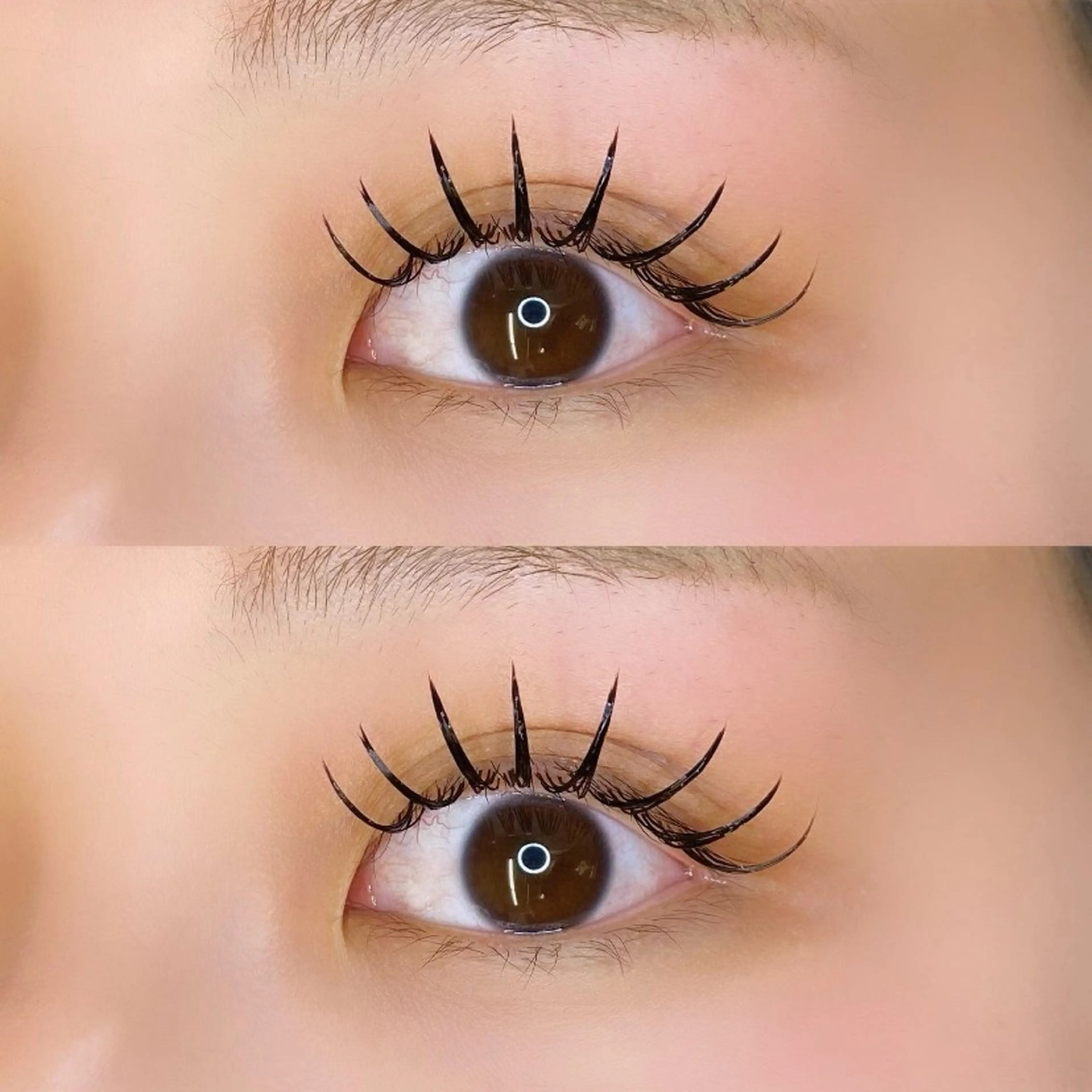 バインドロック80束🌸自店オフ無料(お仕上げコーティング付き)の写真