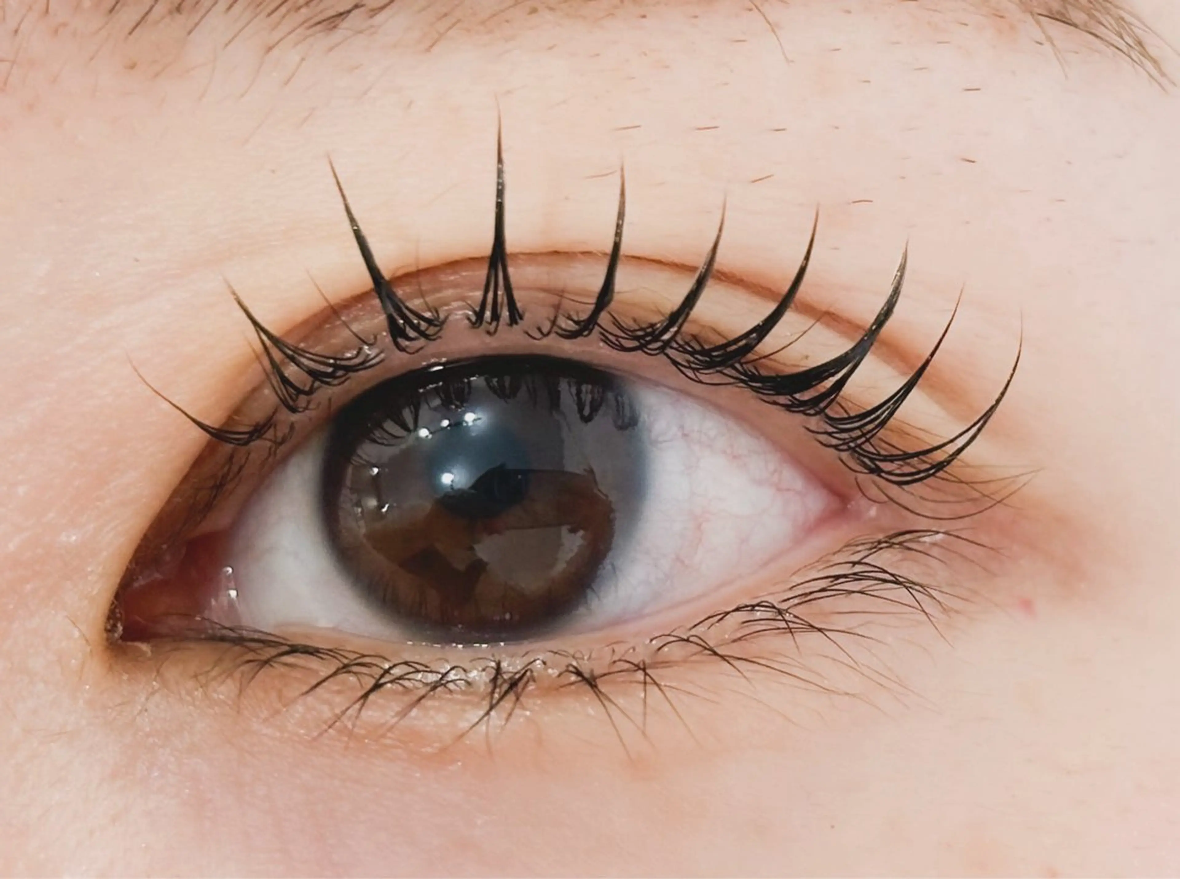 マツエク・マツパ マツパ Aprilush🦋 Cieloのマツエク・マツパデザイン