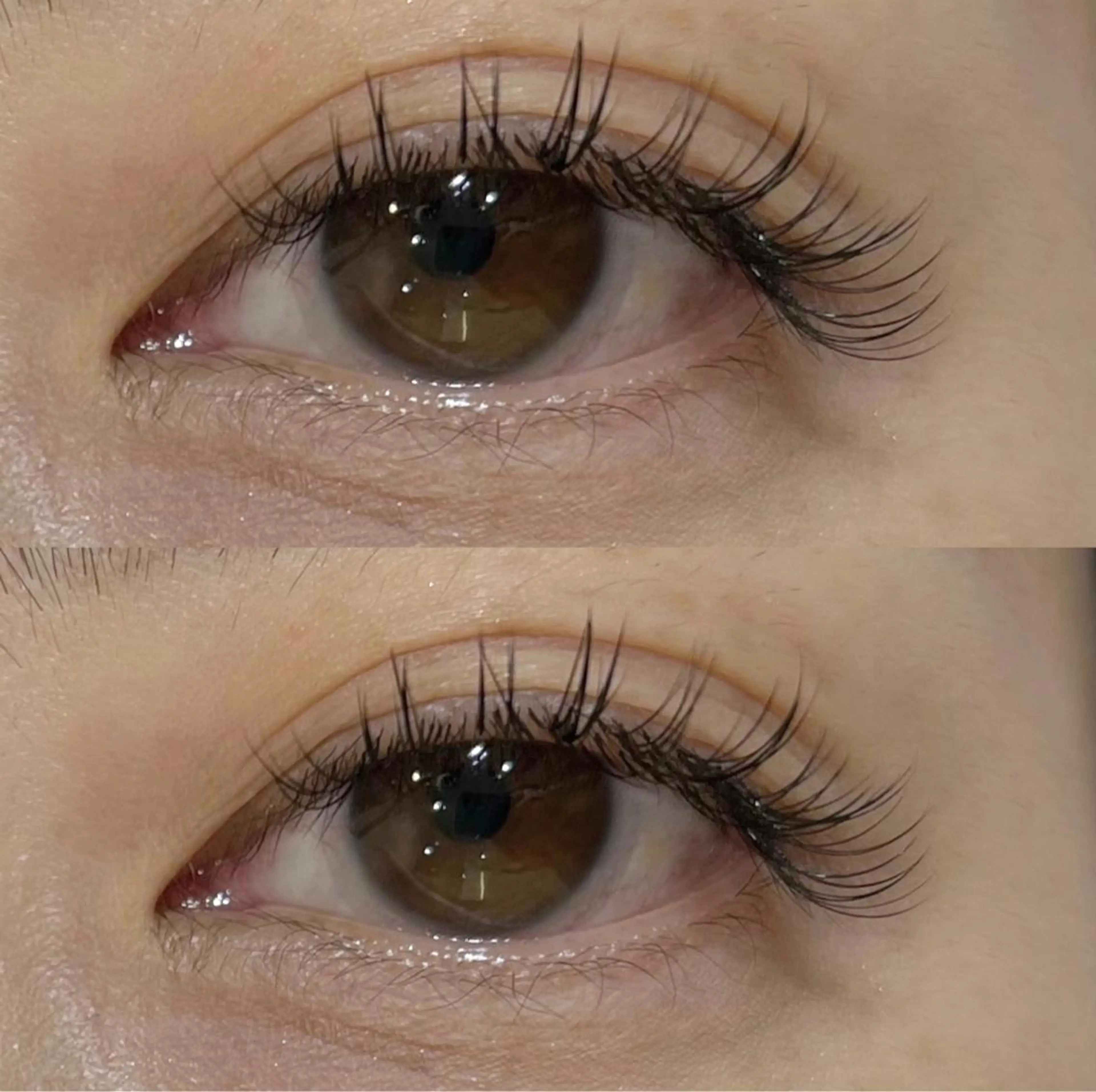 フラットマットラッシュ 100本  J・JC・C・D ※オフ550円の写真