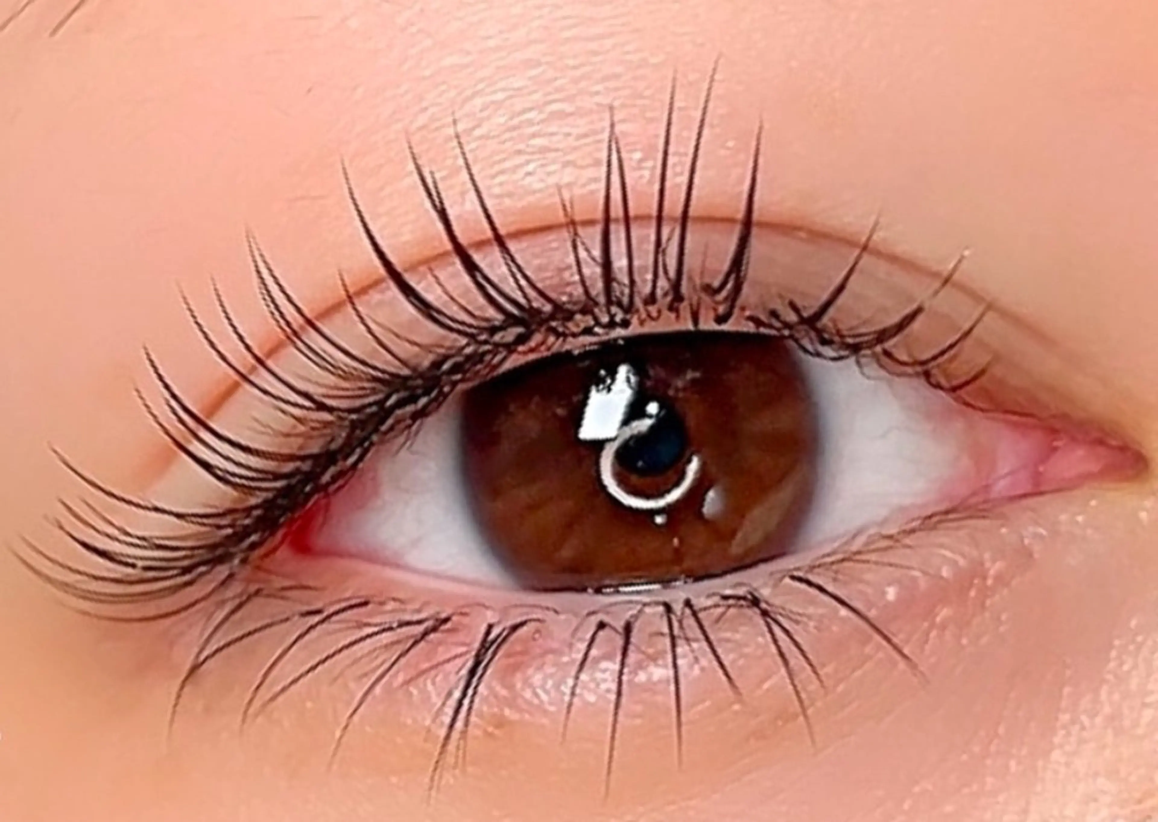 🌷小顔効果アイドル級フラットラッシュ （上下）フラットラッシュ80本＋下まつ毛20本　¥ 3980円　🎊新規オフ無料の写真