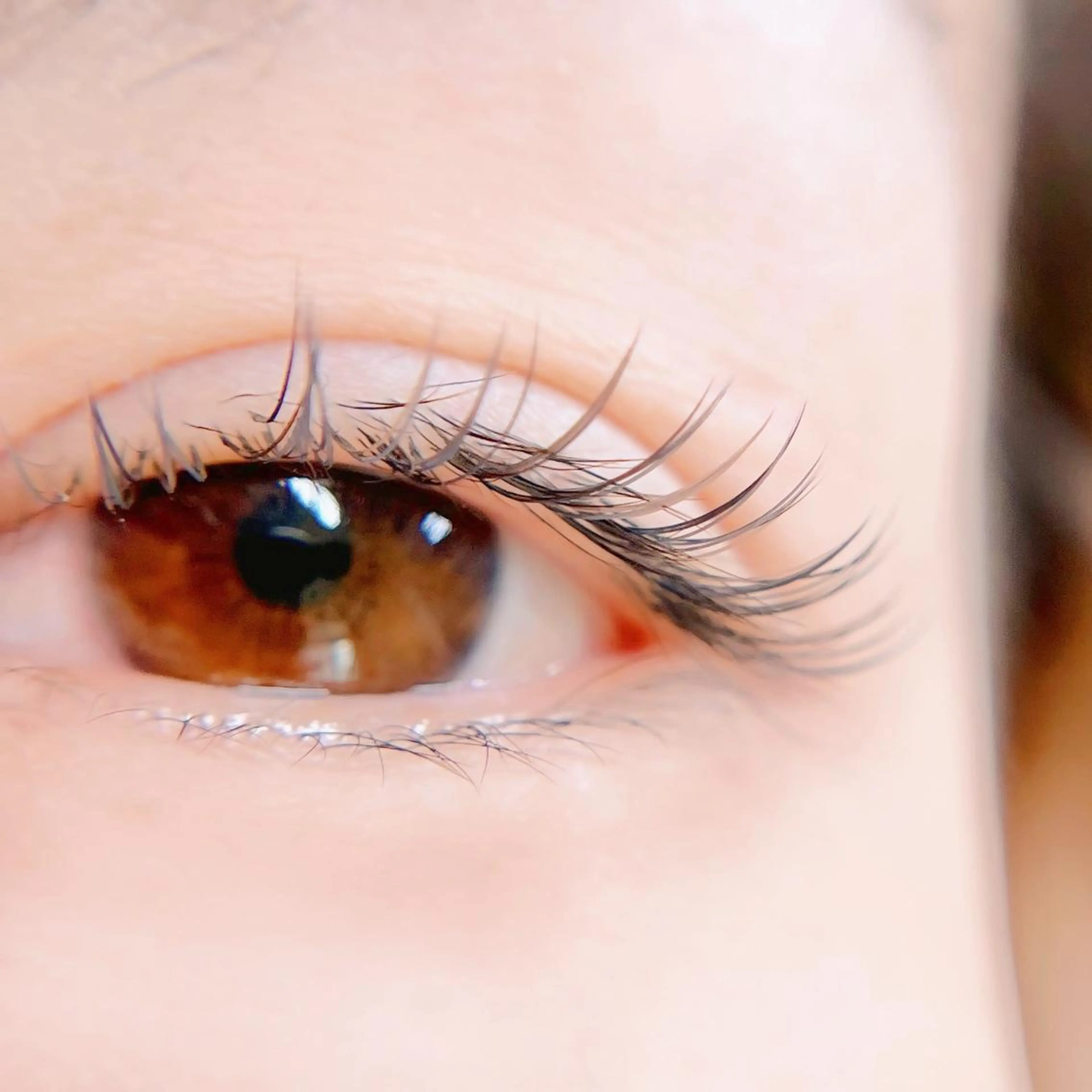 マツエク・マツパ n Yukari.のマツエク・マツパデザイン