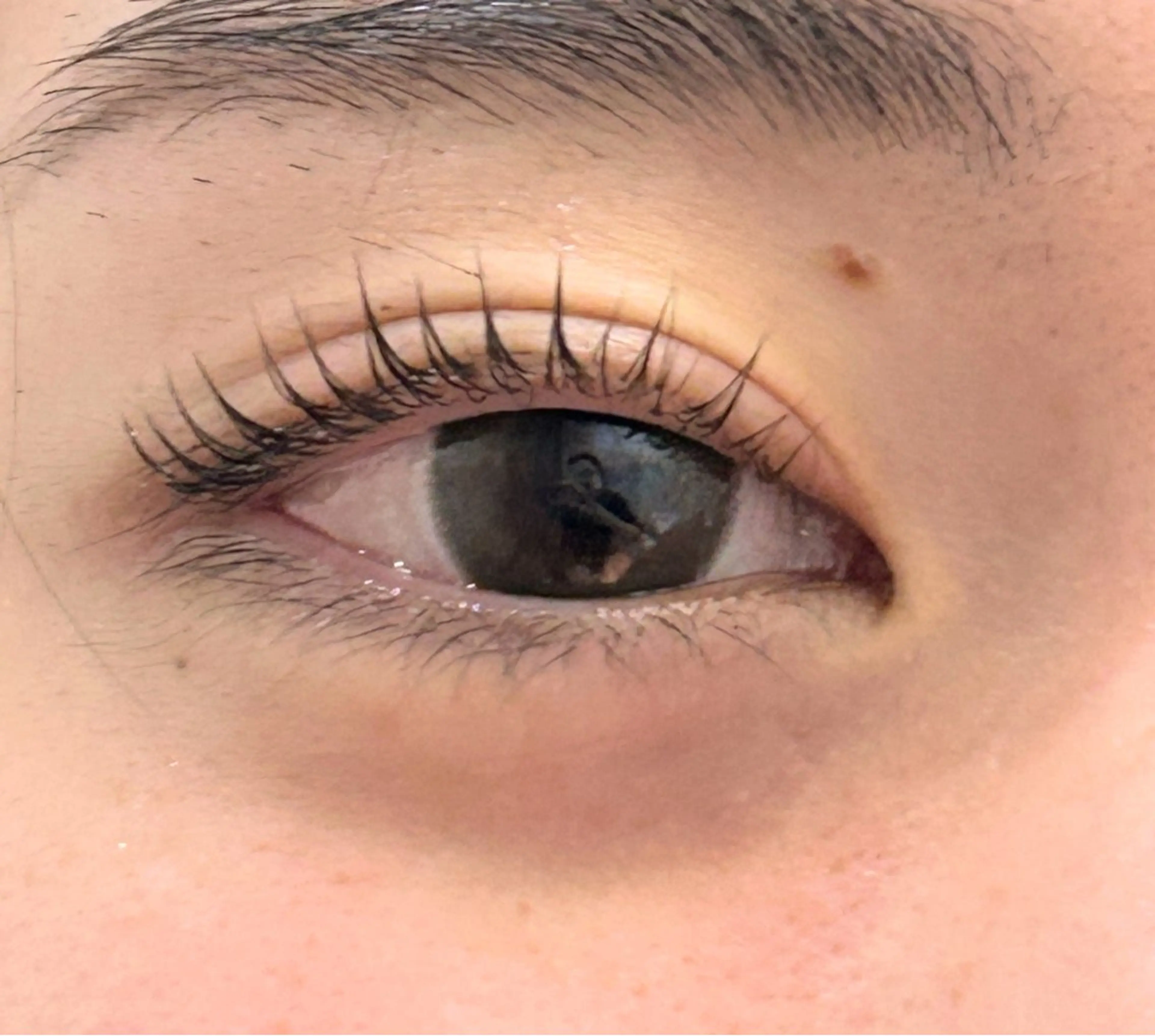 まつ毛パーマ パリジェンヌラッシュリフト 平日限定 10月30日までの写真