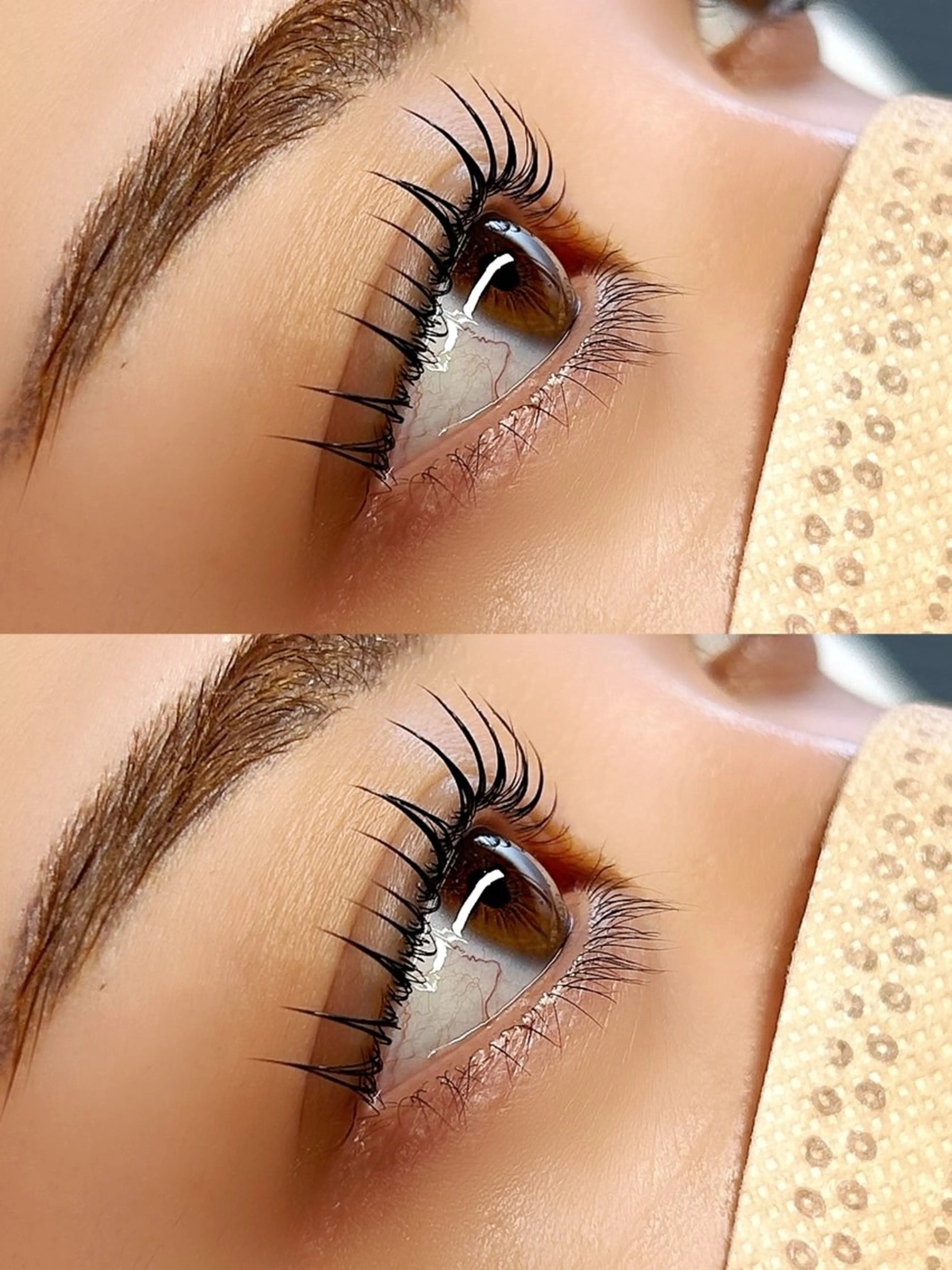 マツエク・マツパ ani 【アニ】所属・ani 【アニ】 恵比寿のマツエク・マツパデザイン