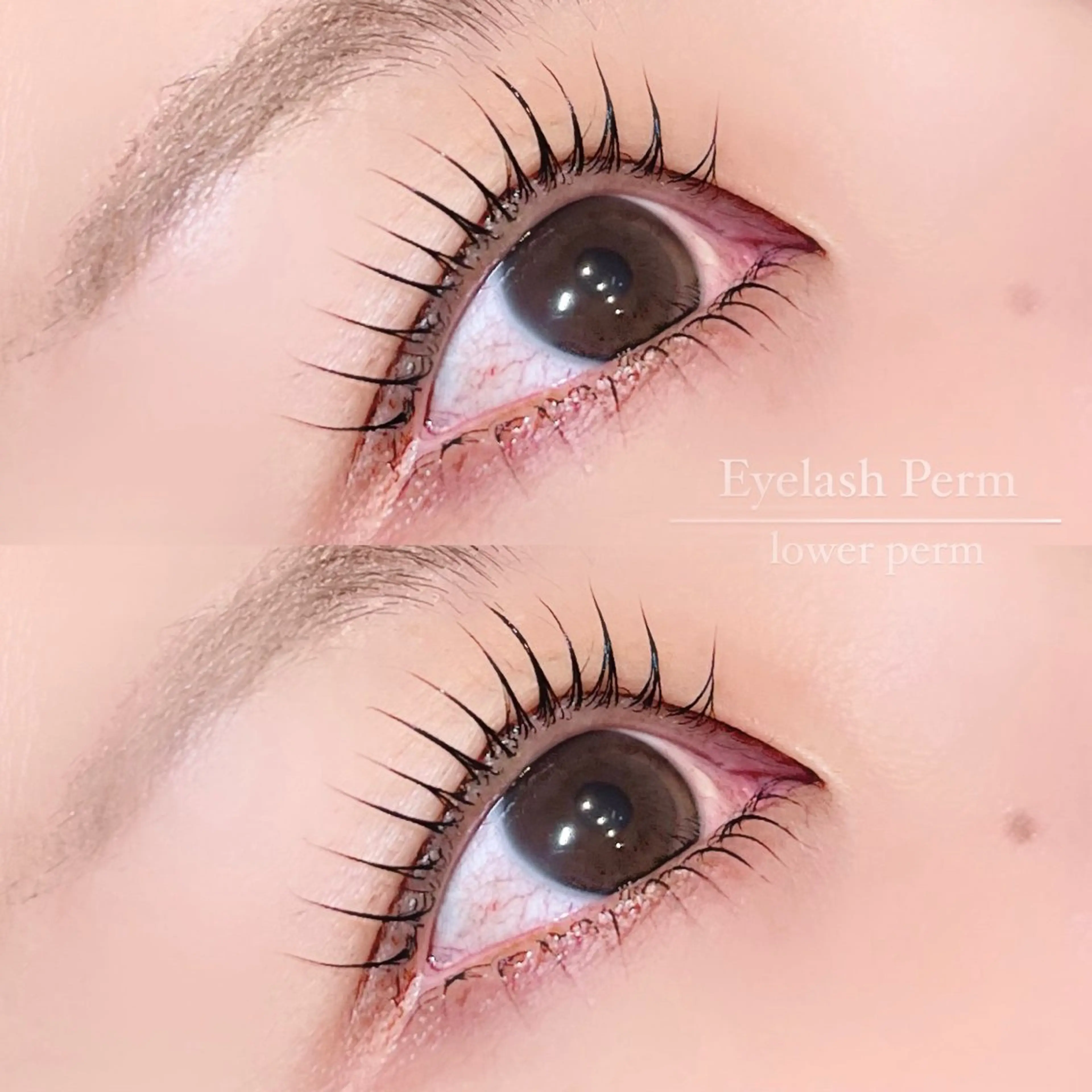 マツエク・マツパ マツパ MIRU ...のマツエク・マツパデザイン