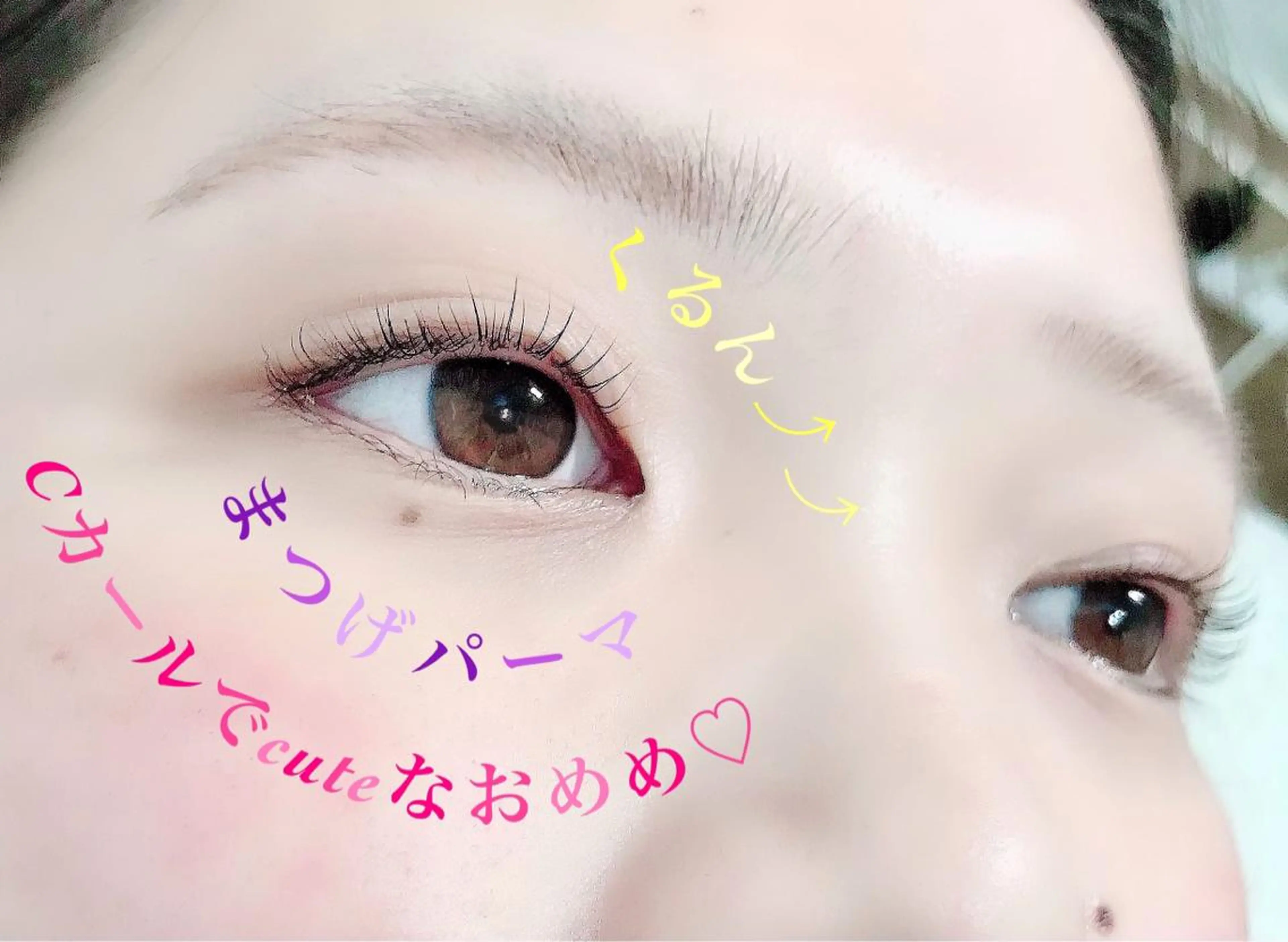 マツエク・マツパ Cカール Lカール パリジェンヌラッシュリフト 一重×まつ毛パーマ eyelash presh yukaのマツエク・マツパデザイン