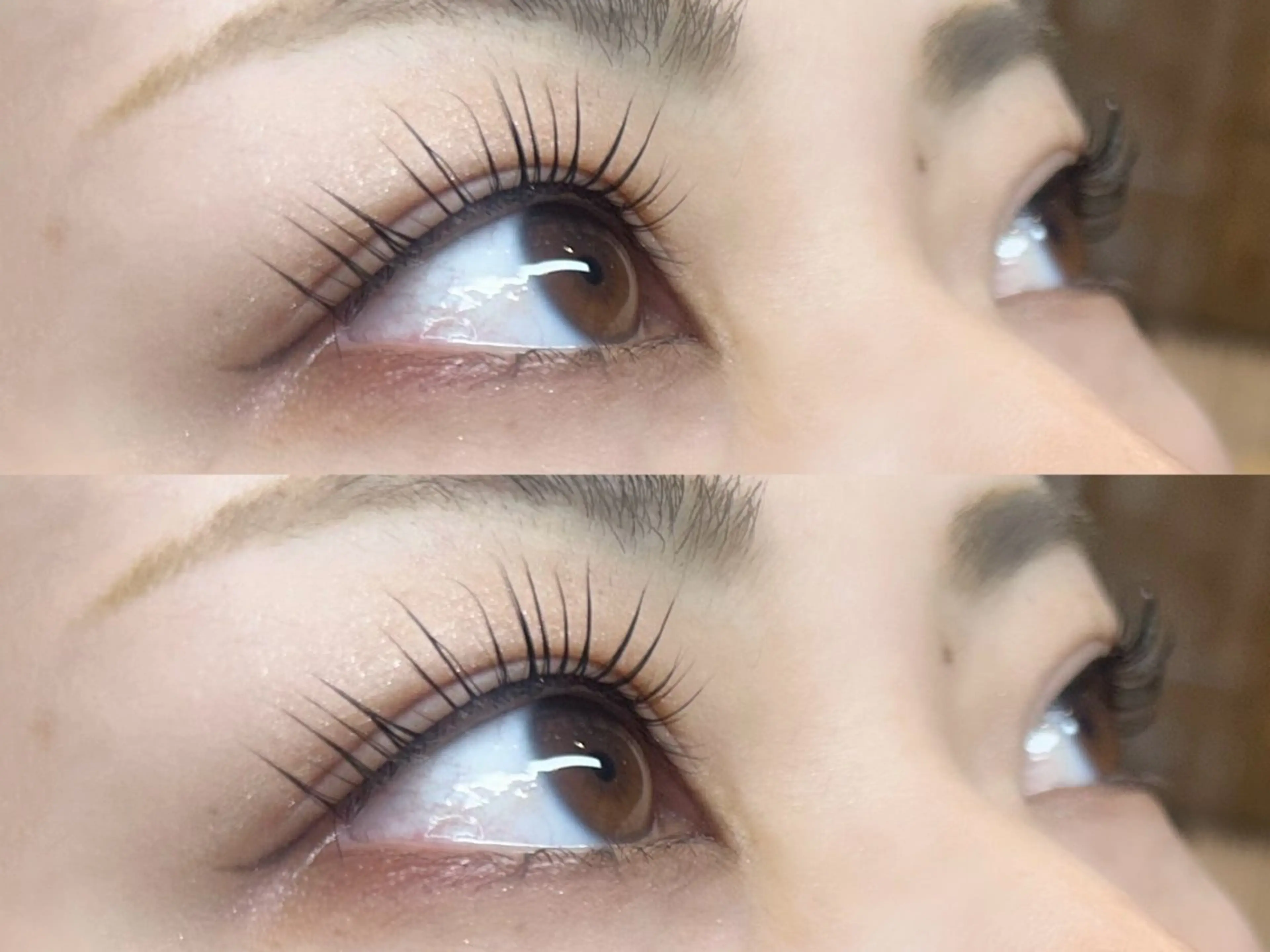 まつげパーマ👀💞2種のケアトリートメント付🫶の写真