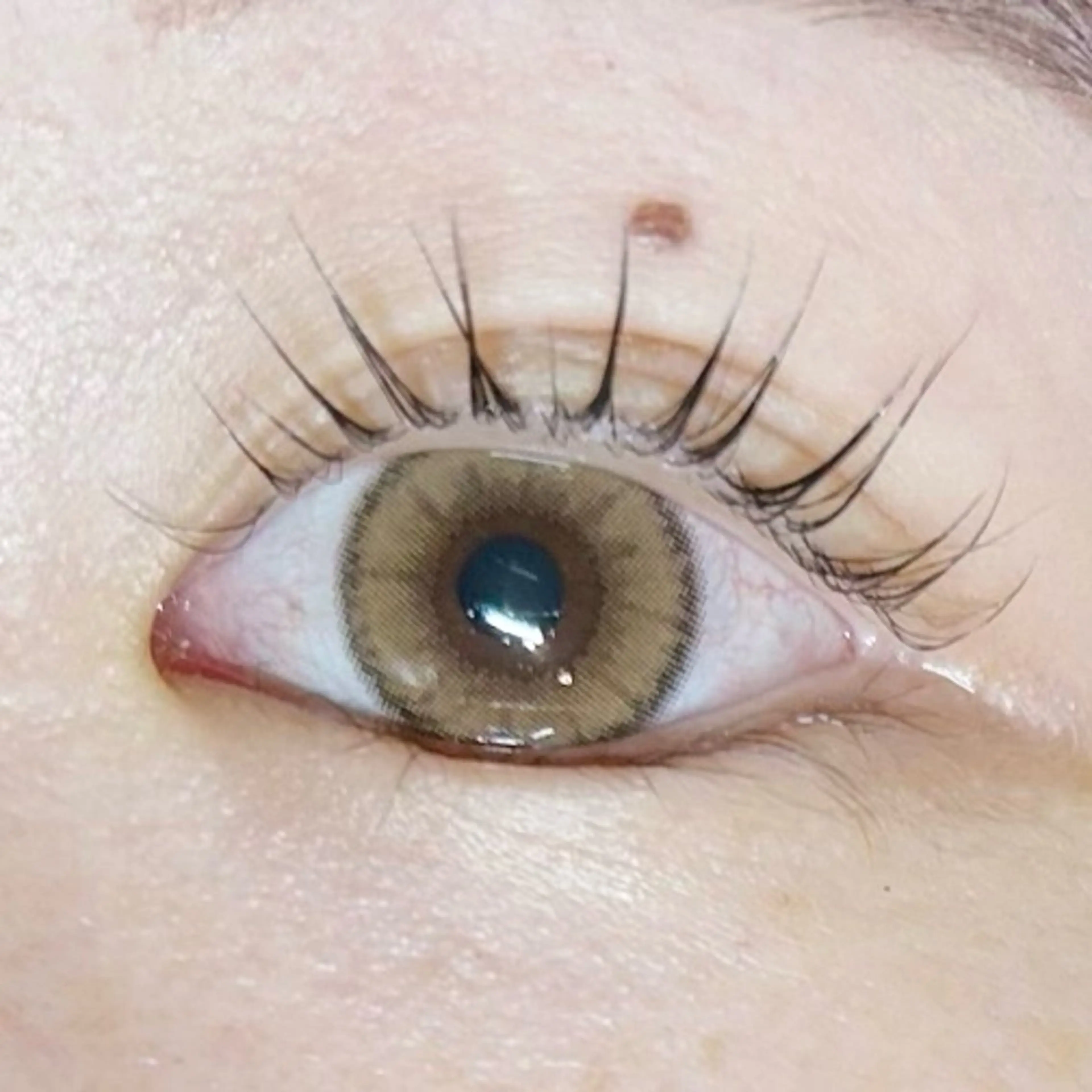 マツエク・マツパ マツパ soposilma 🧸今季OPENのマツエク・マツパデザイン