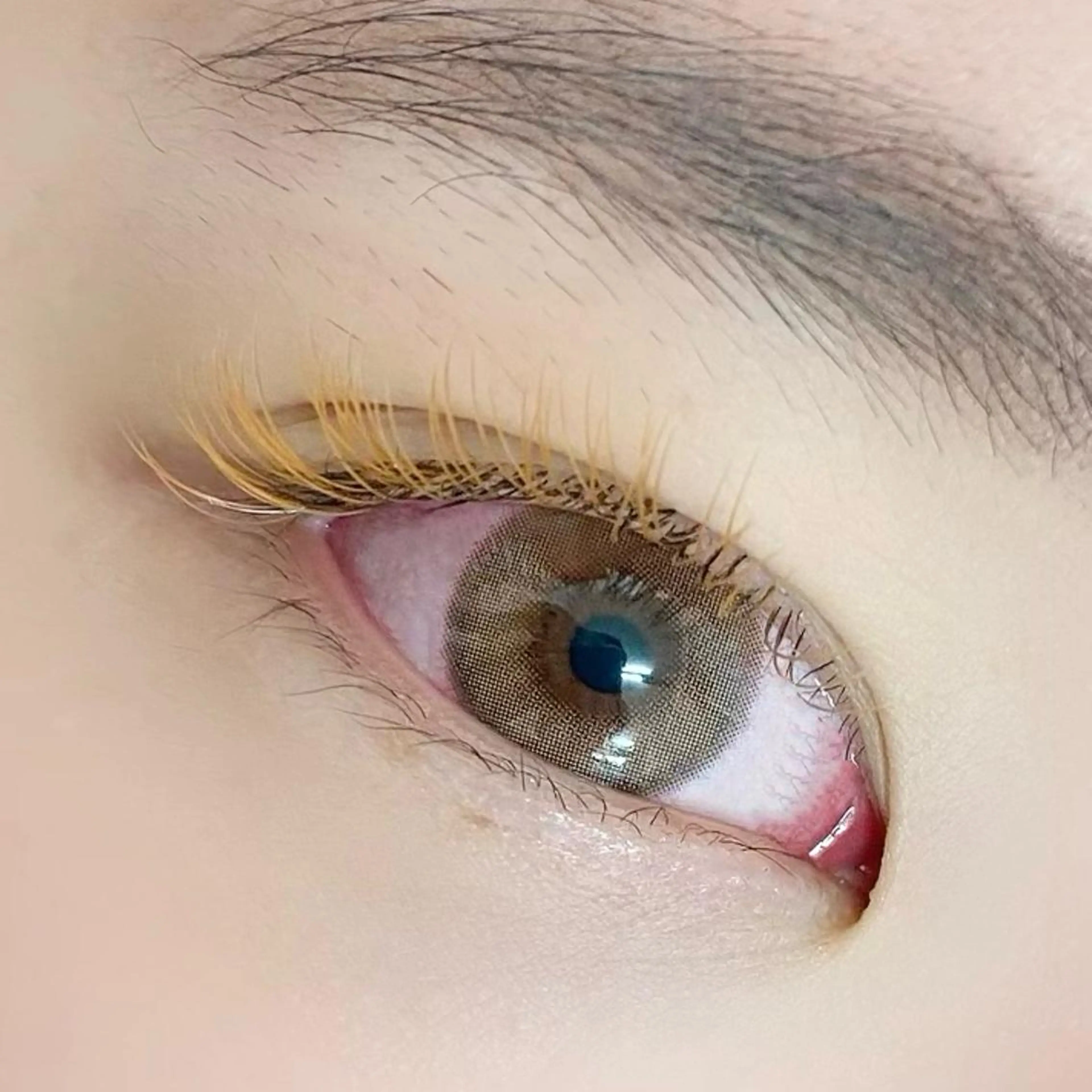 🧡カラーエクステ(ライトブラウン限定)120本迄🧡フラットラッシュの写真