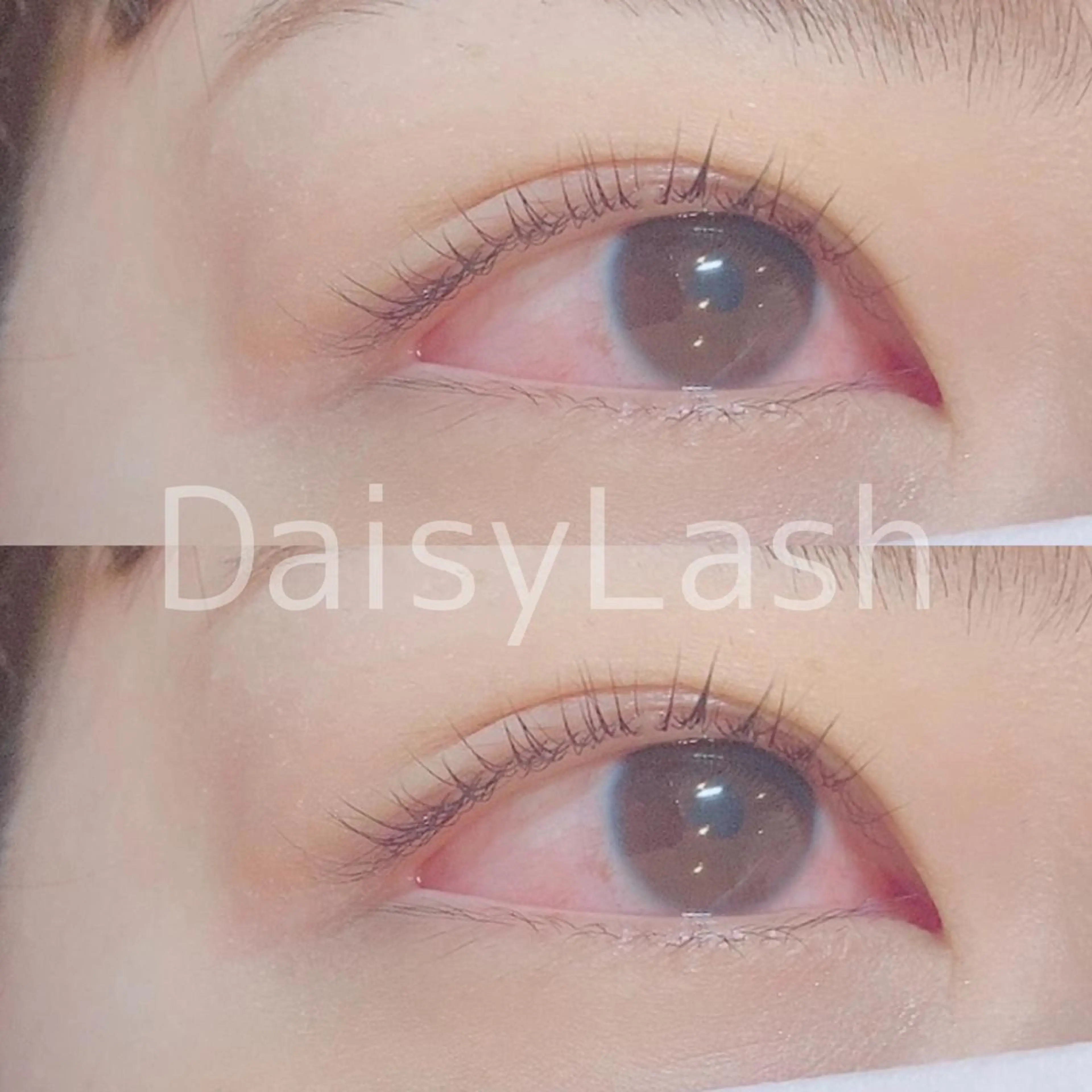 マツエク・マツパ DaisyLash 京橋店のマツエク・マツパデザイン