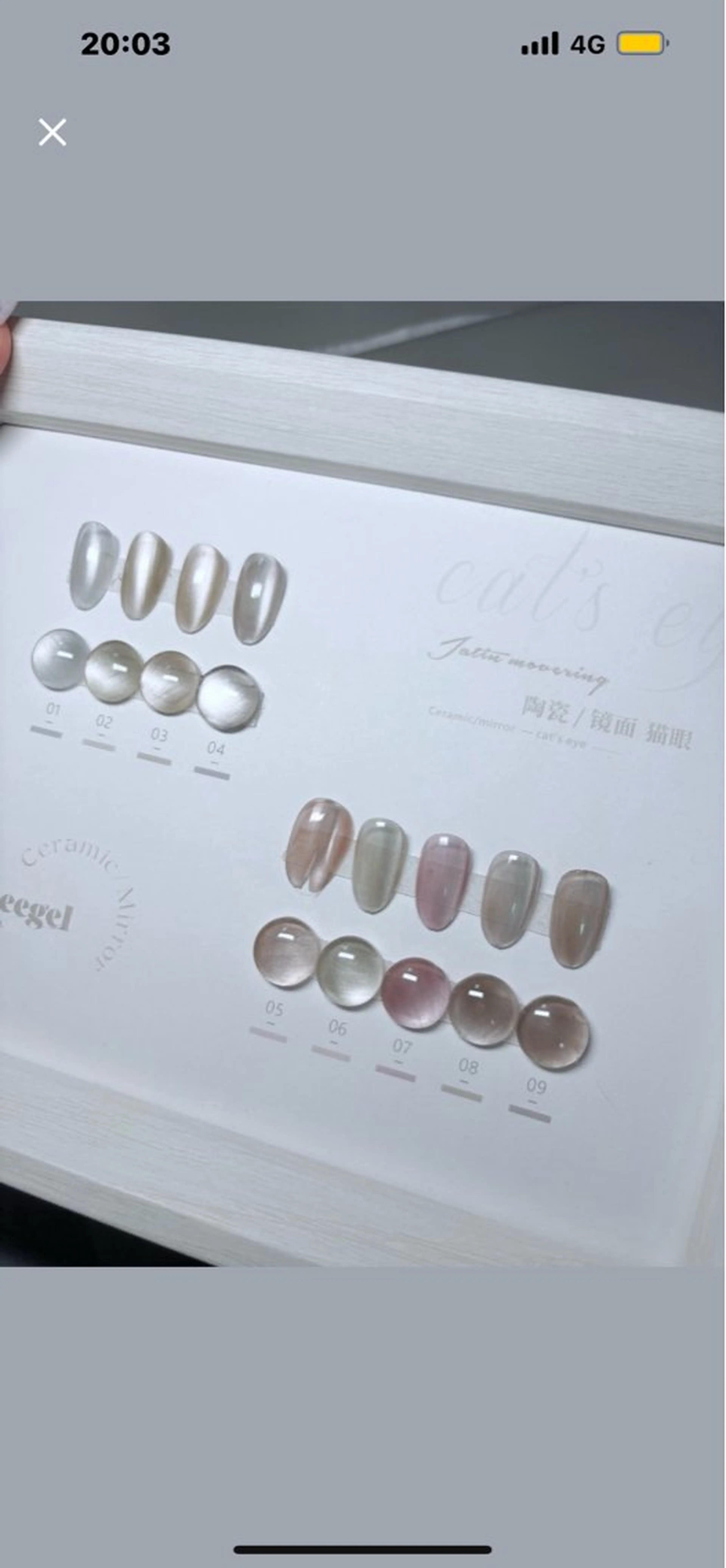 ［オフ有り］マグネット🧲（単色）&フラッシユワンカラの写真