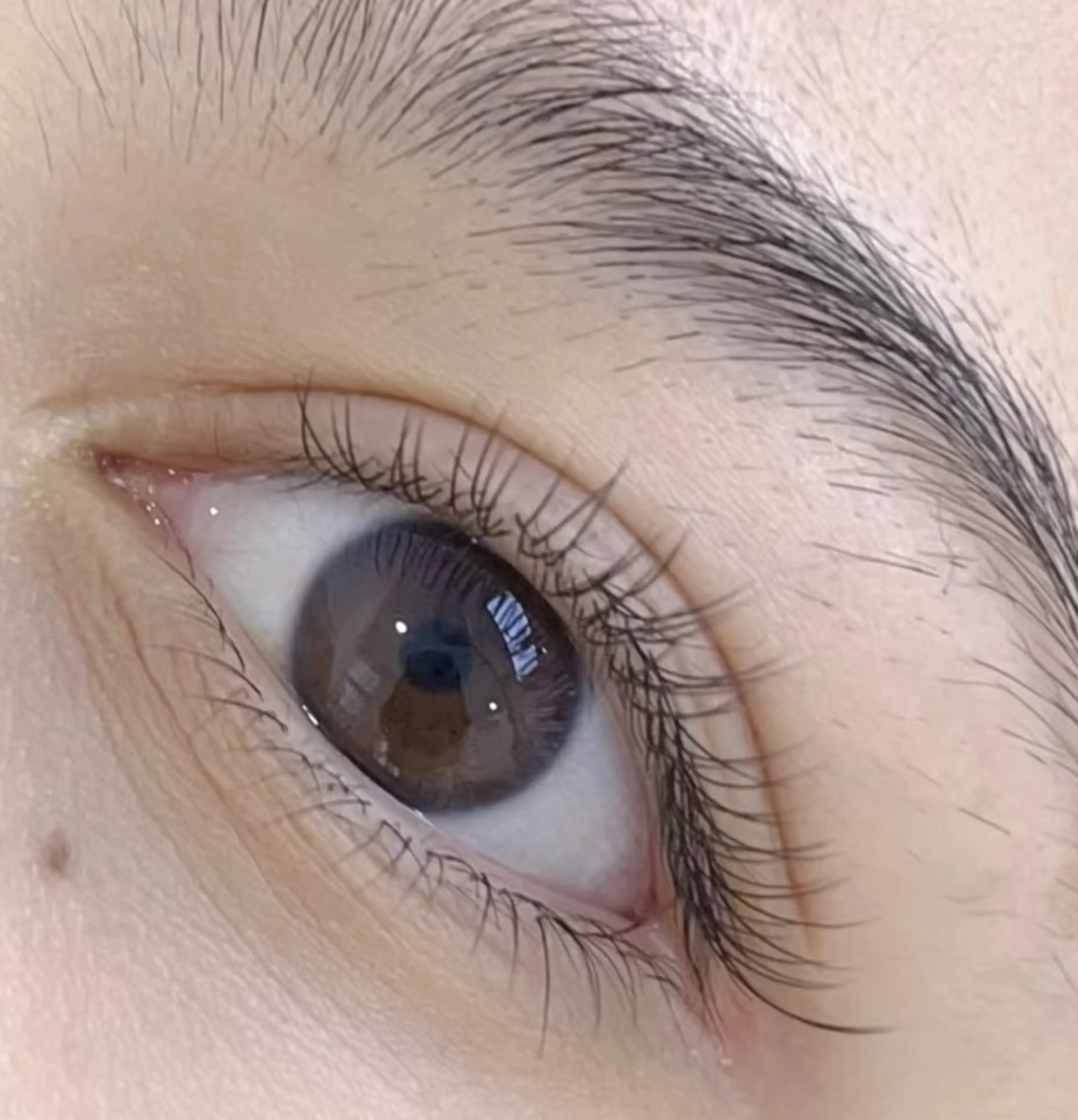 マツエク・マツパ MOMO モモのマツエク・マツパデザイン