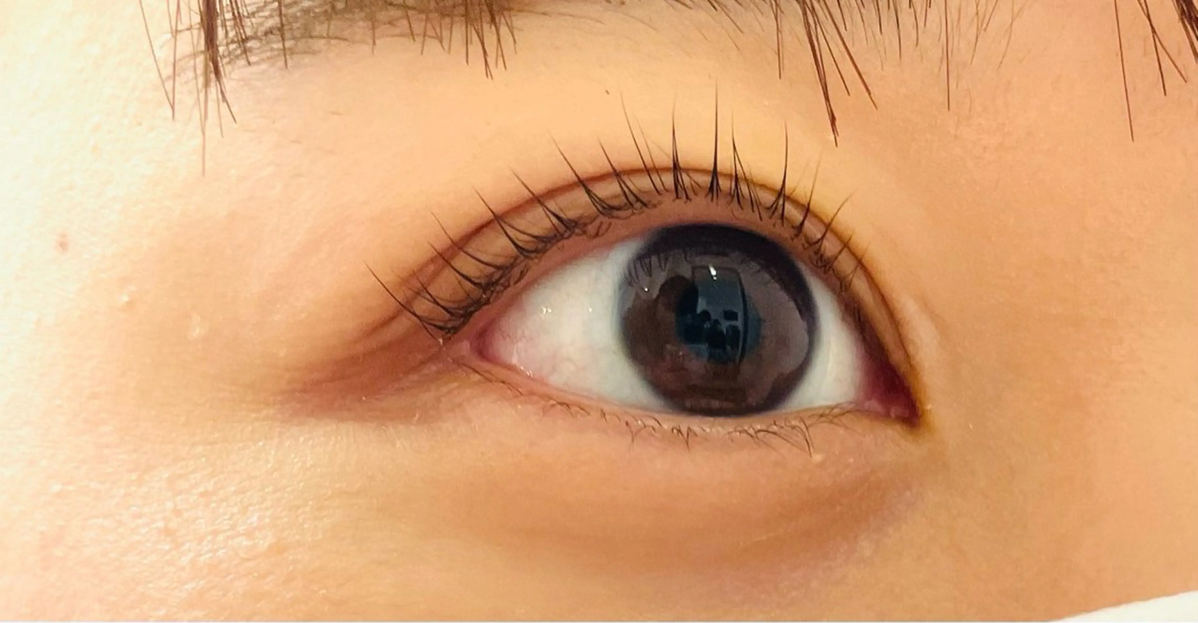 マツエク・マツパ 一重×まつ毛パーマ Any eyelash＆hair所属・Any eyelashのマツエク・マツパデザイン