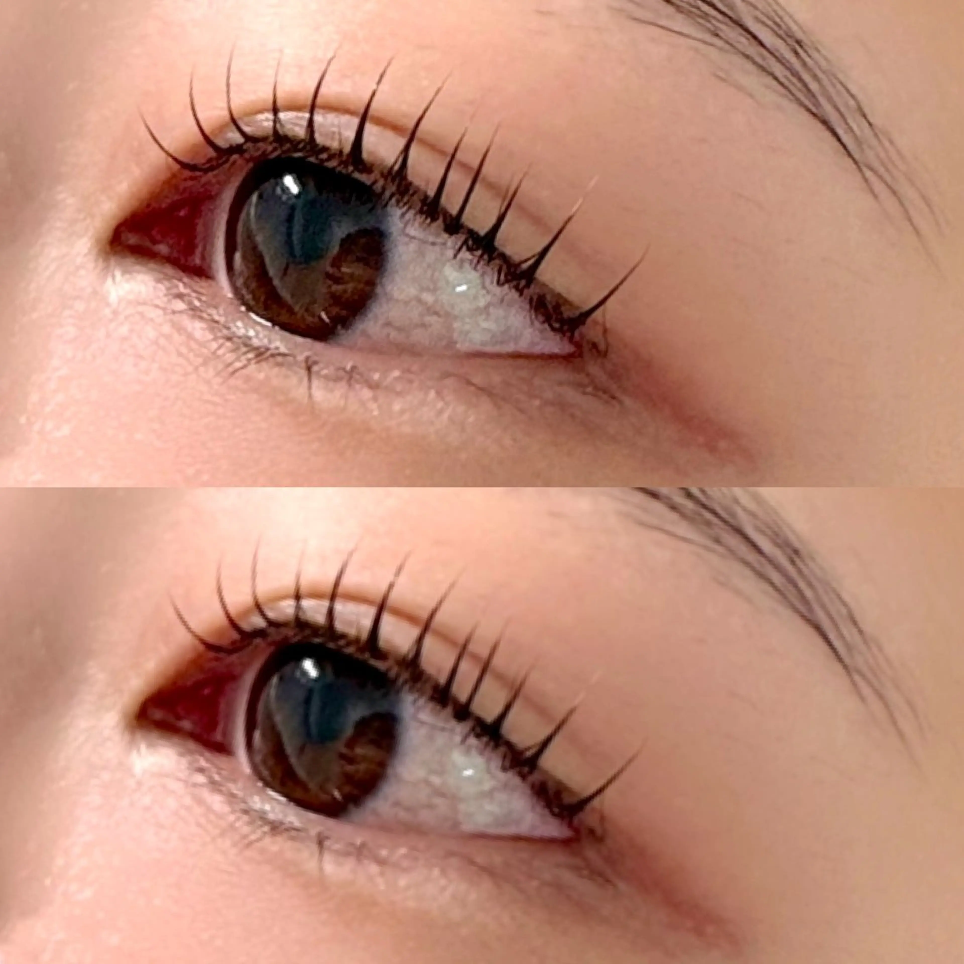 ダブルアイリフト 2STEPケラチントリートメント付ラッシュリフトorパリジェンヌラッシュリフト🍇の写真