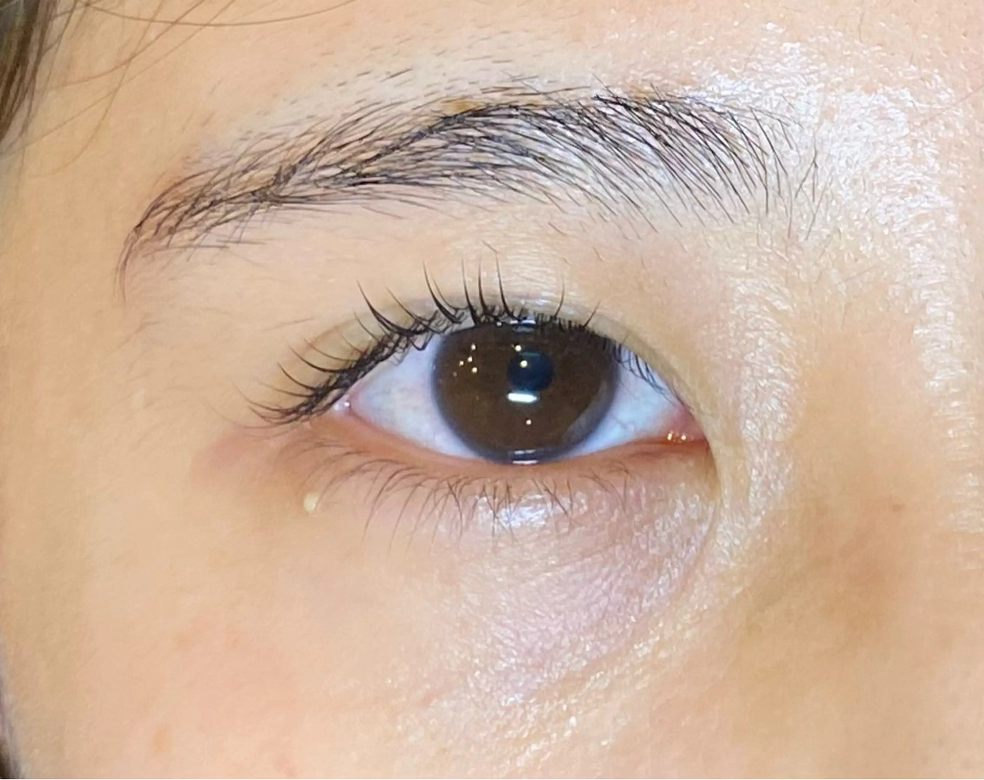 マツエク・マツパ まつげパーマ Daisy lash 京橋店堀井のマツエク・マツパデザイン