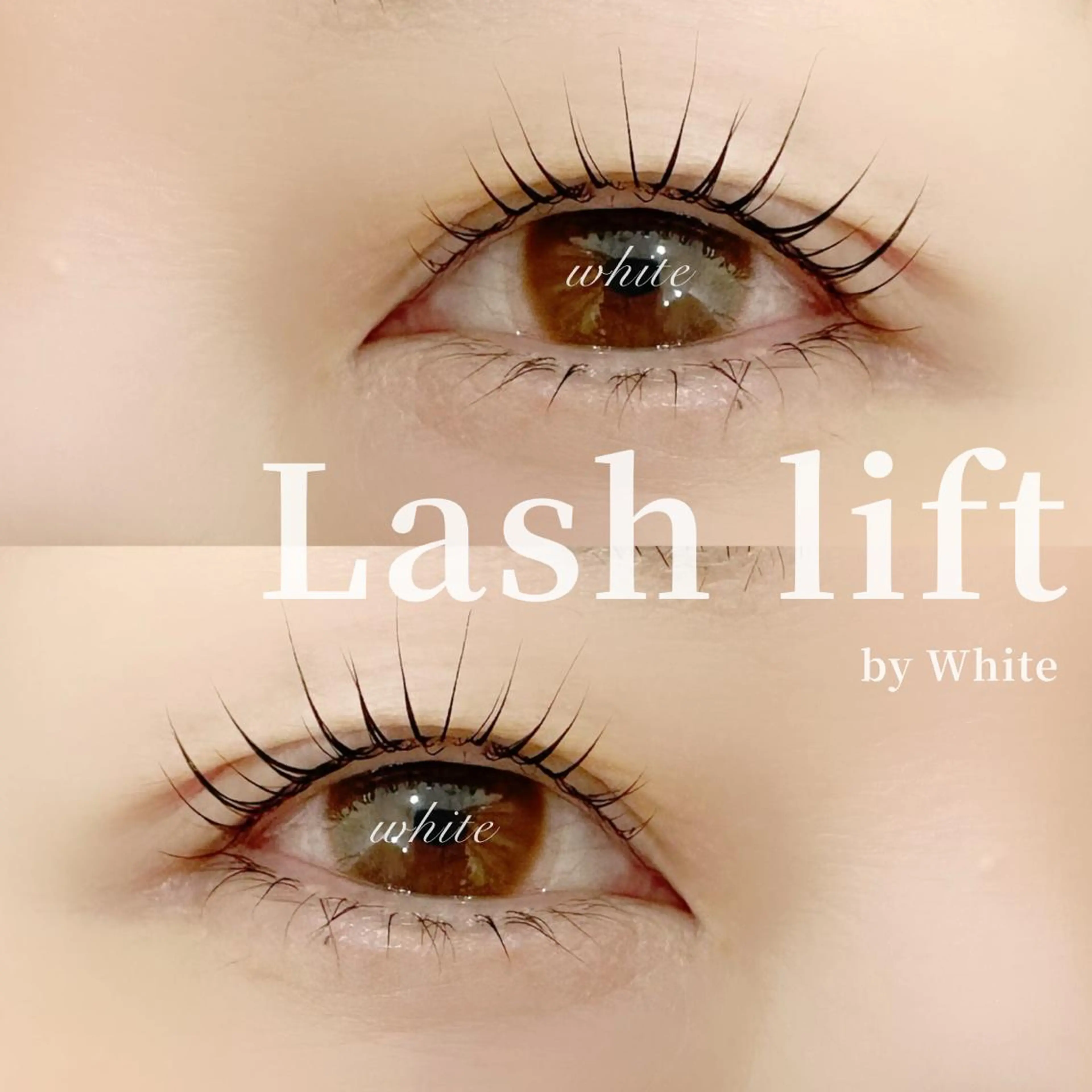 マツエク・マツパ まつげパーマ ホワイトニング&アイラッシュ四日市ホワイト所属・アイラッシュ ホワイトニング四日市のマツエク・マツパデザイン