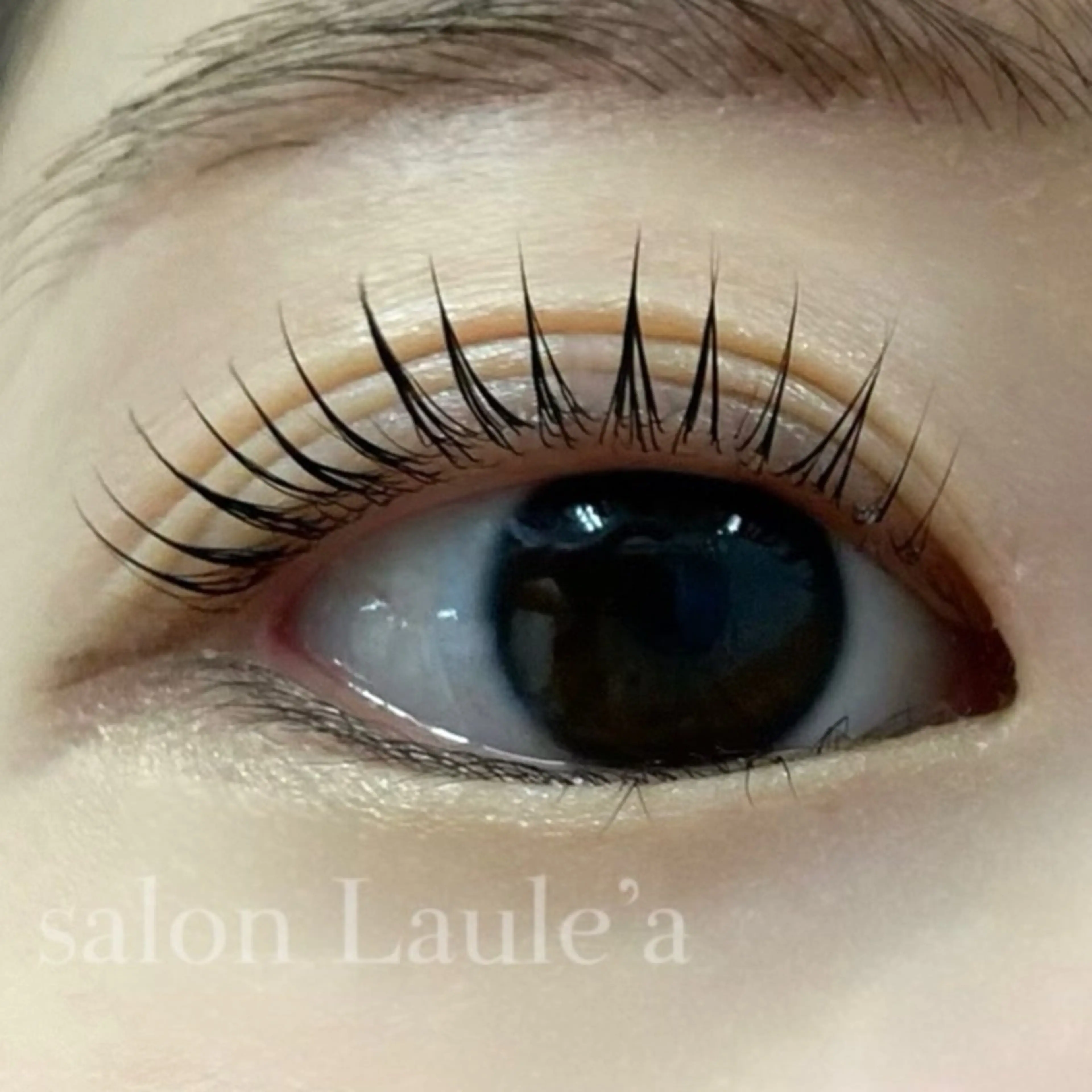 マツエク・マツパ マツパ Hatori Yuukaのマツエク・マツパデザイン