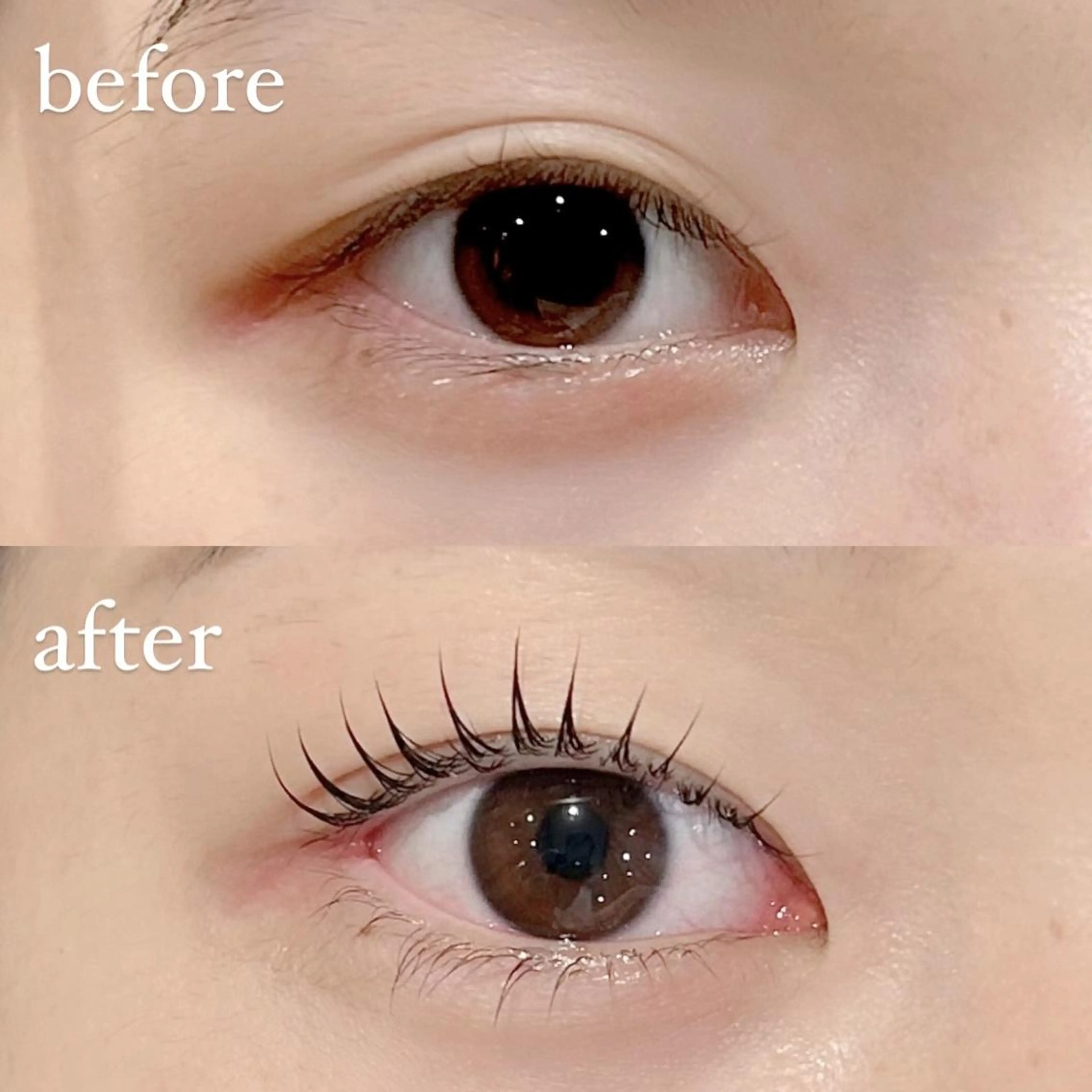 マツエク・マツパ Las' ebisu まつパ&美眉 専門店のマツエク・マツパデザイン