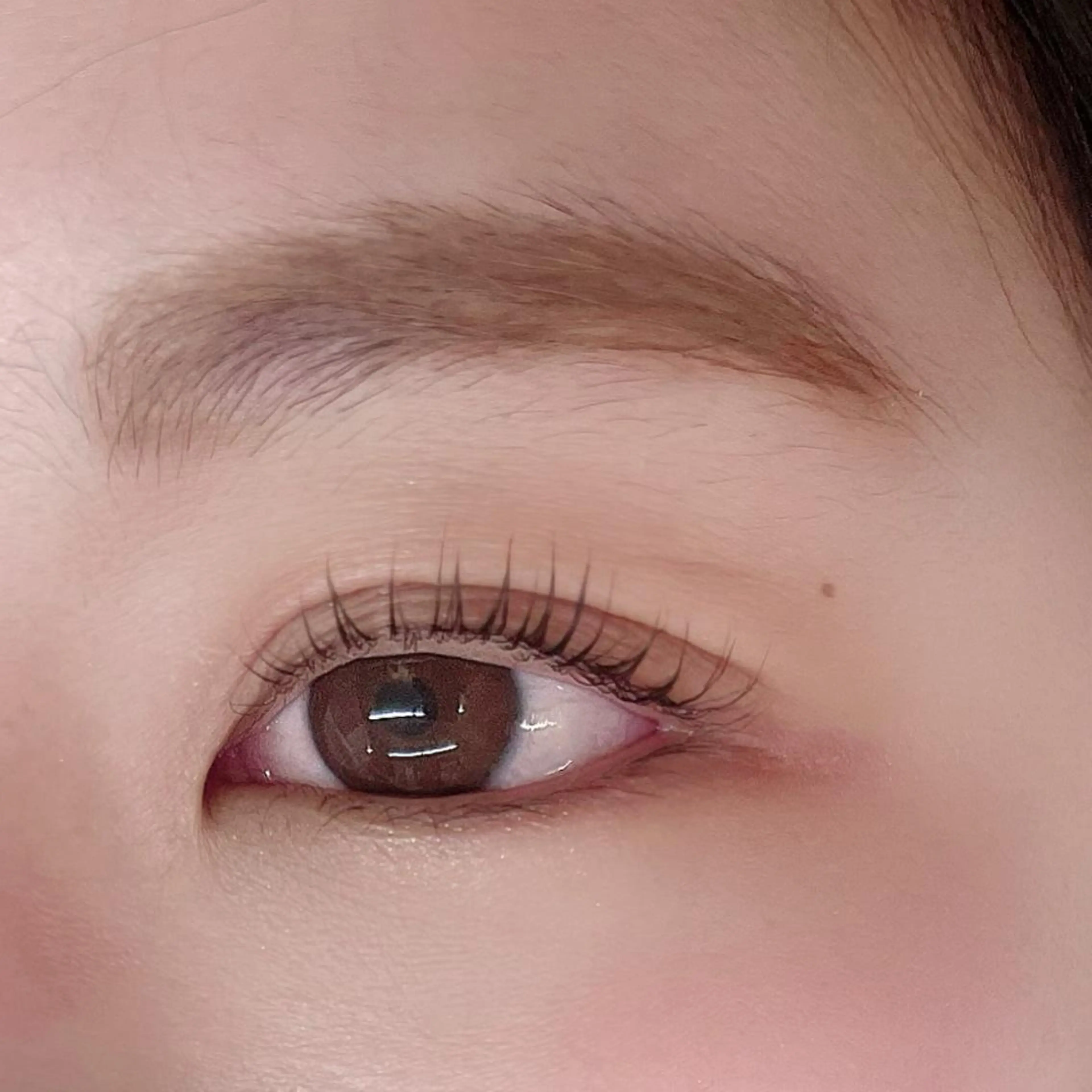 マツエク・マツパ ナチュラル Kahara__ Kanaの眉毛・アイブロウイメージ