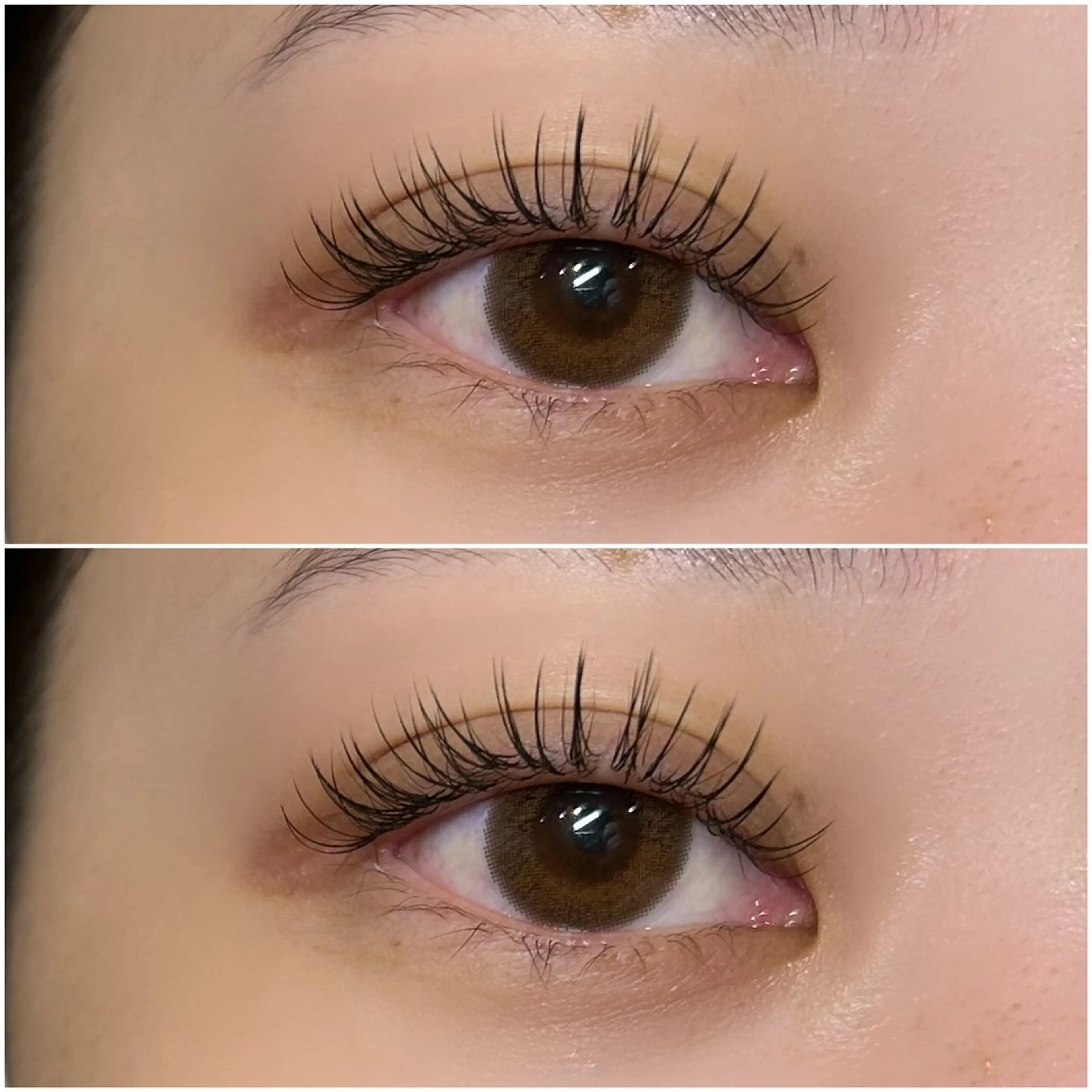 【当日限定✨】フラットマットラッシュ100​〜​120本の写真