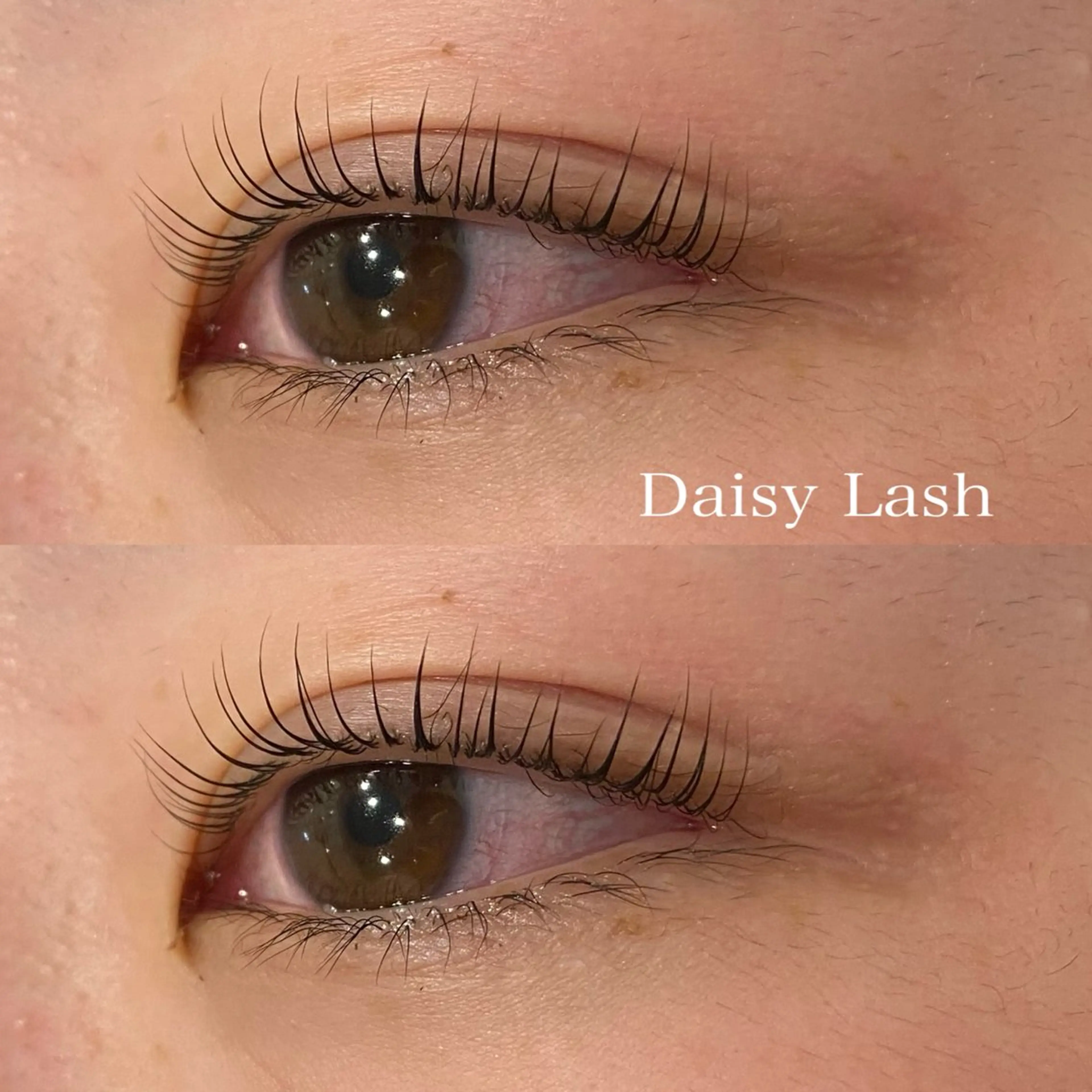 マツエク・マツパ Daisylash 光璃の眉毛・アイブロウイメージ