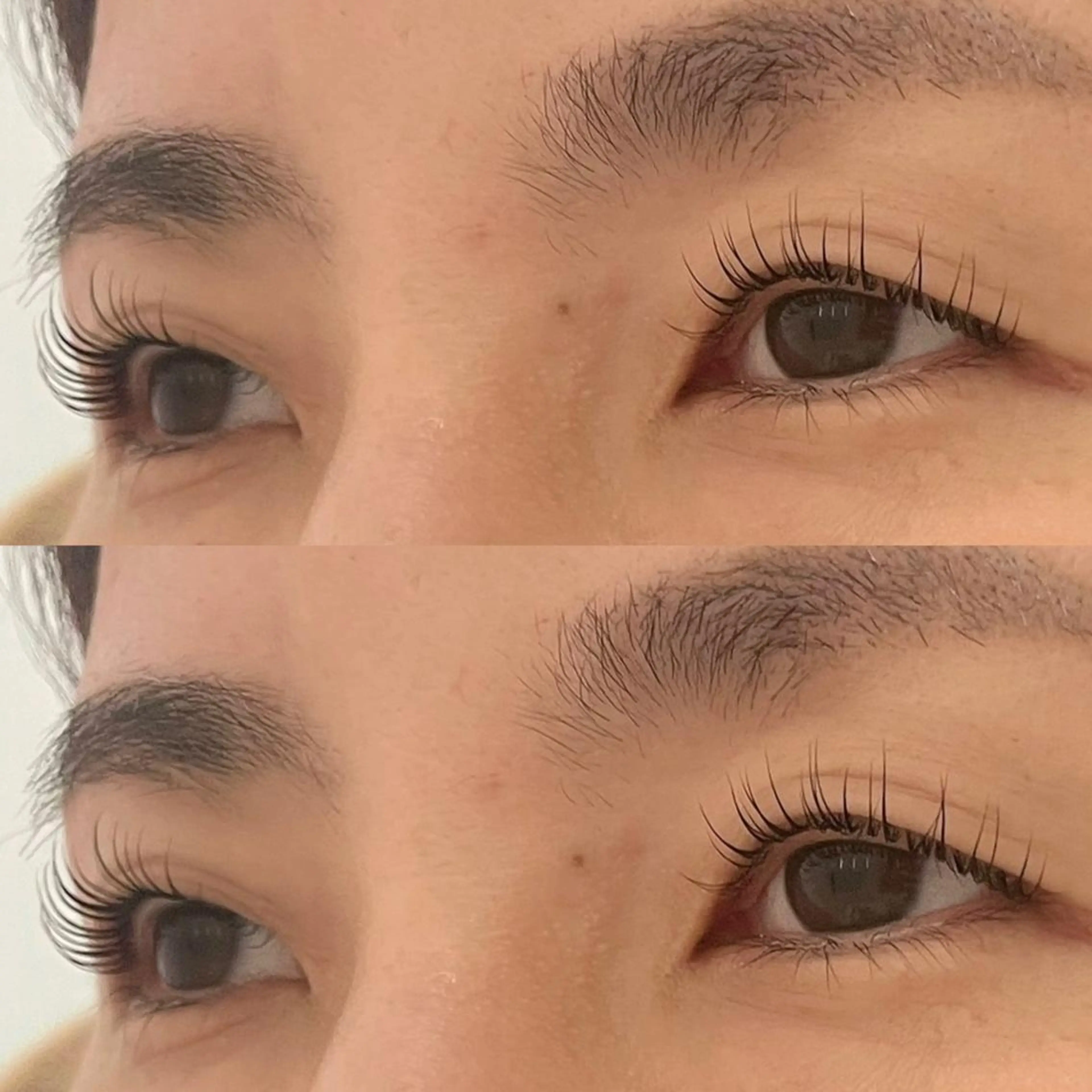 マツエク・マツパ LEDマツエク/ アイブロウ/石原の眉毛・アイブロウイメージ