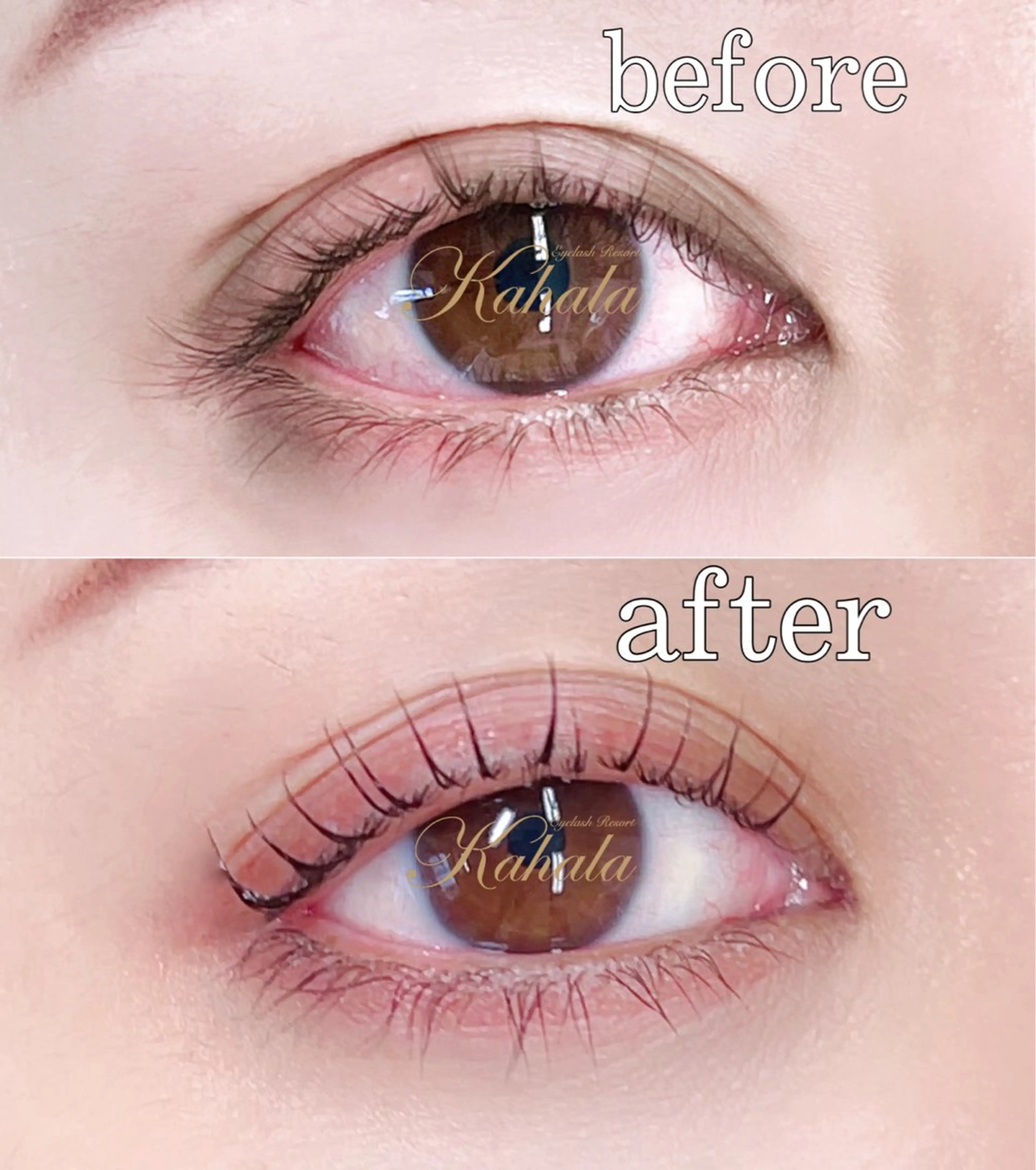 マツエク・マツパ R🌹 ⁺⊹˚.のマツエク・マツパデザイン