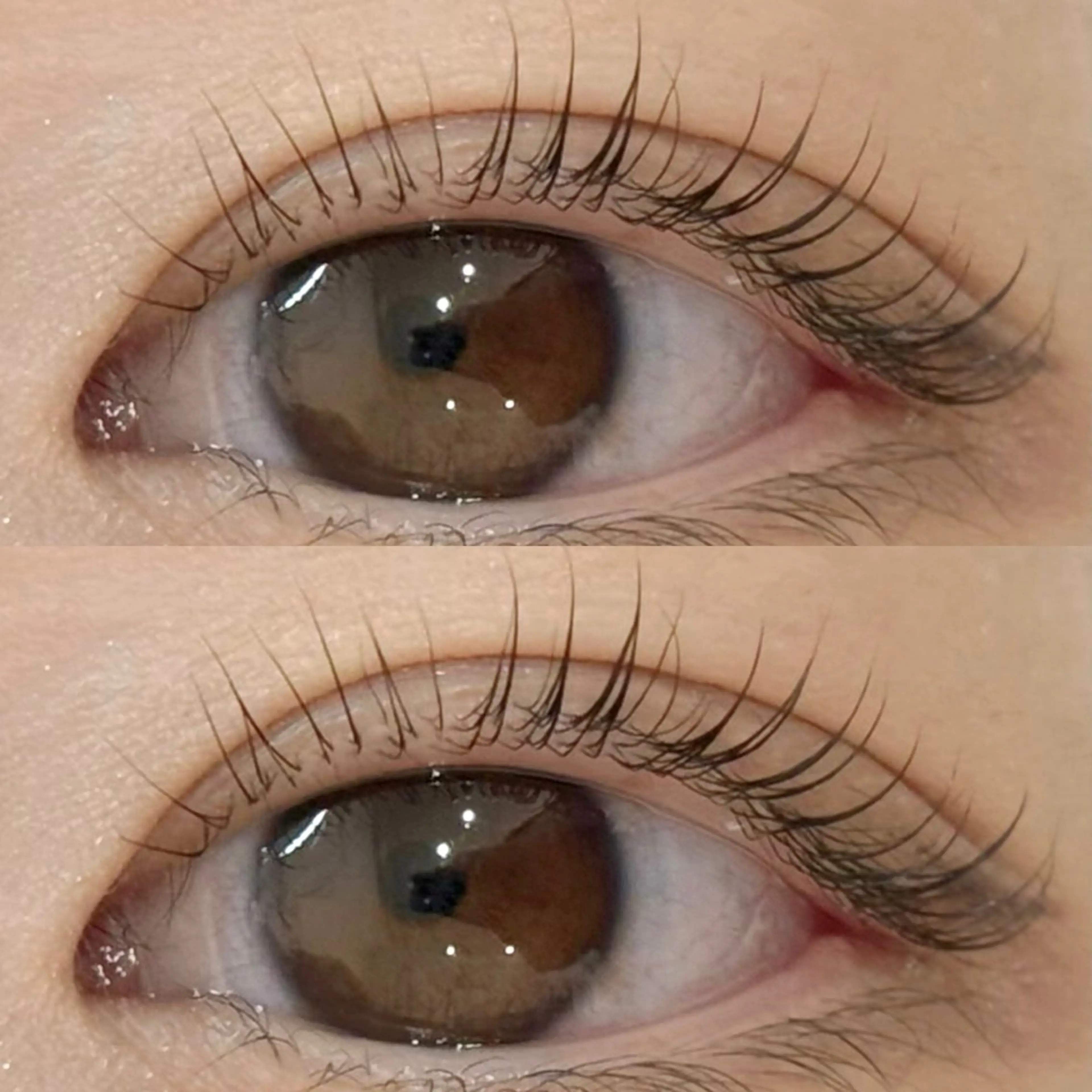 マツエク・マツパ MEME🐰 上本町/谷九のマツエク・マツパデザイン