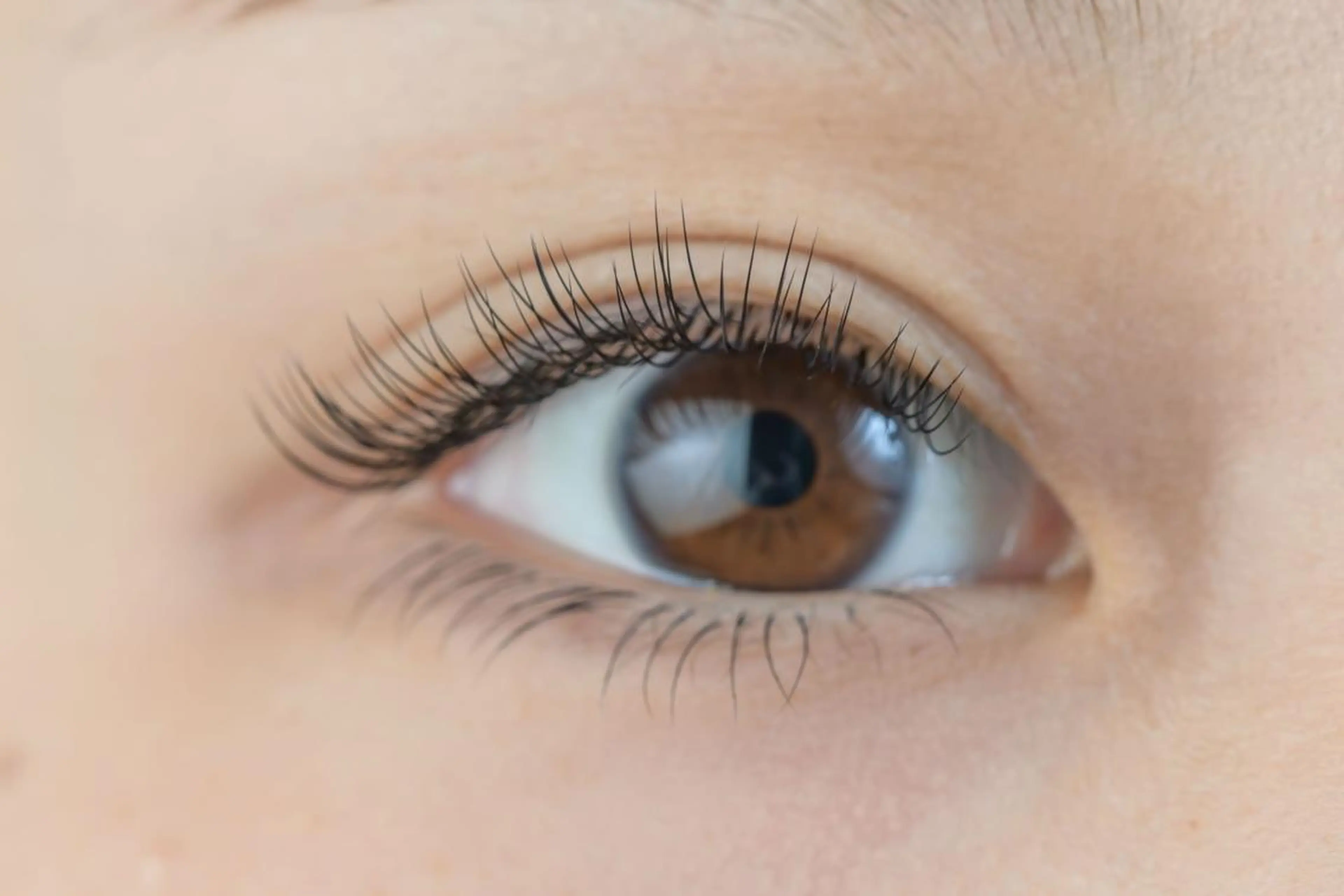 マツエク・マツパ セーブル アイサロン フェア 海老名店のマツエク・マツパデザイン