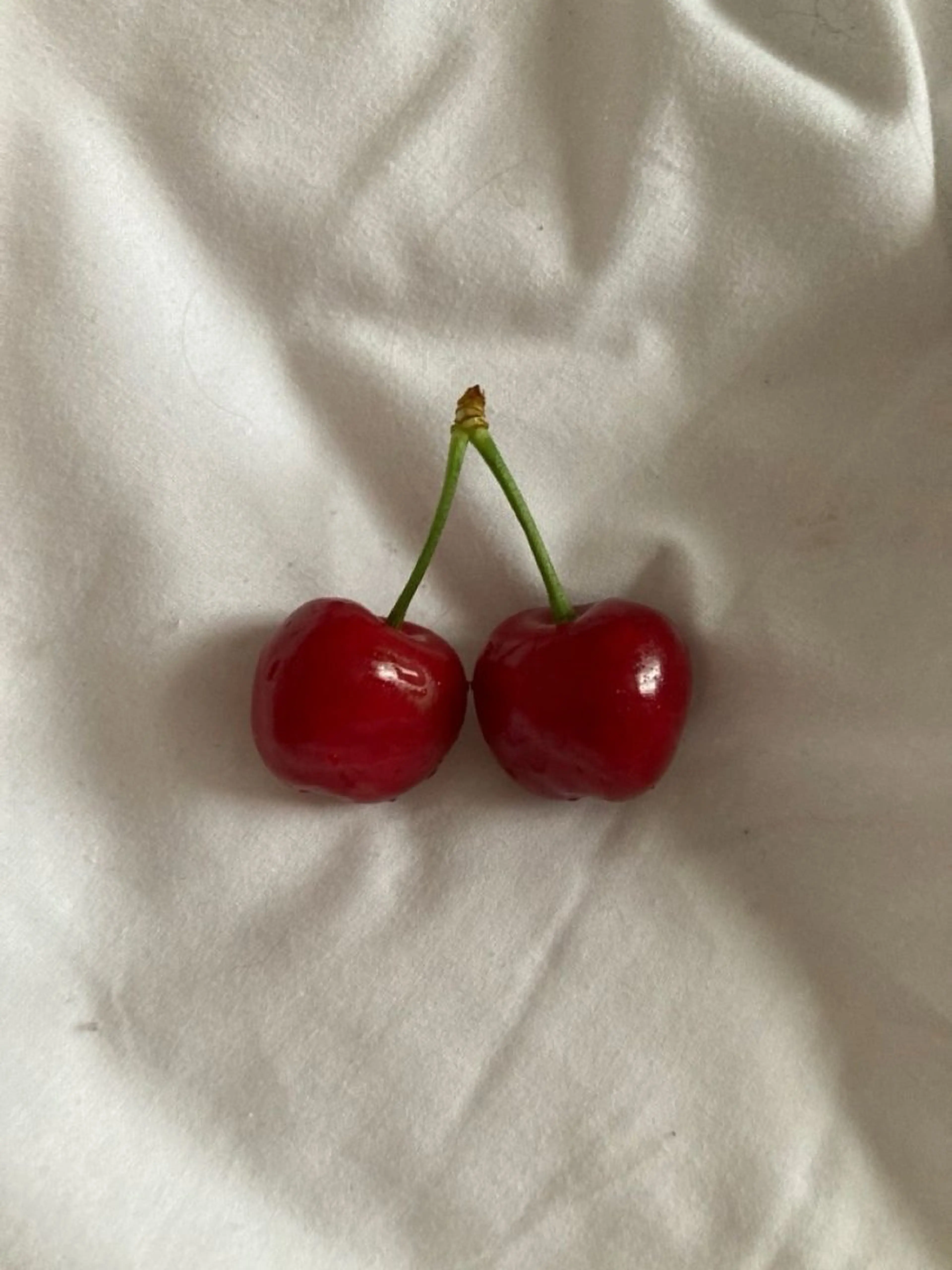 🍒 hazuki🍒のマツエク・マツパデザイン