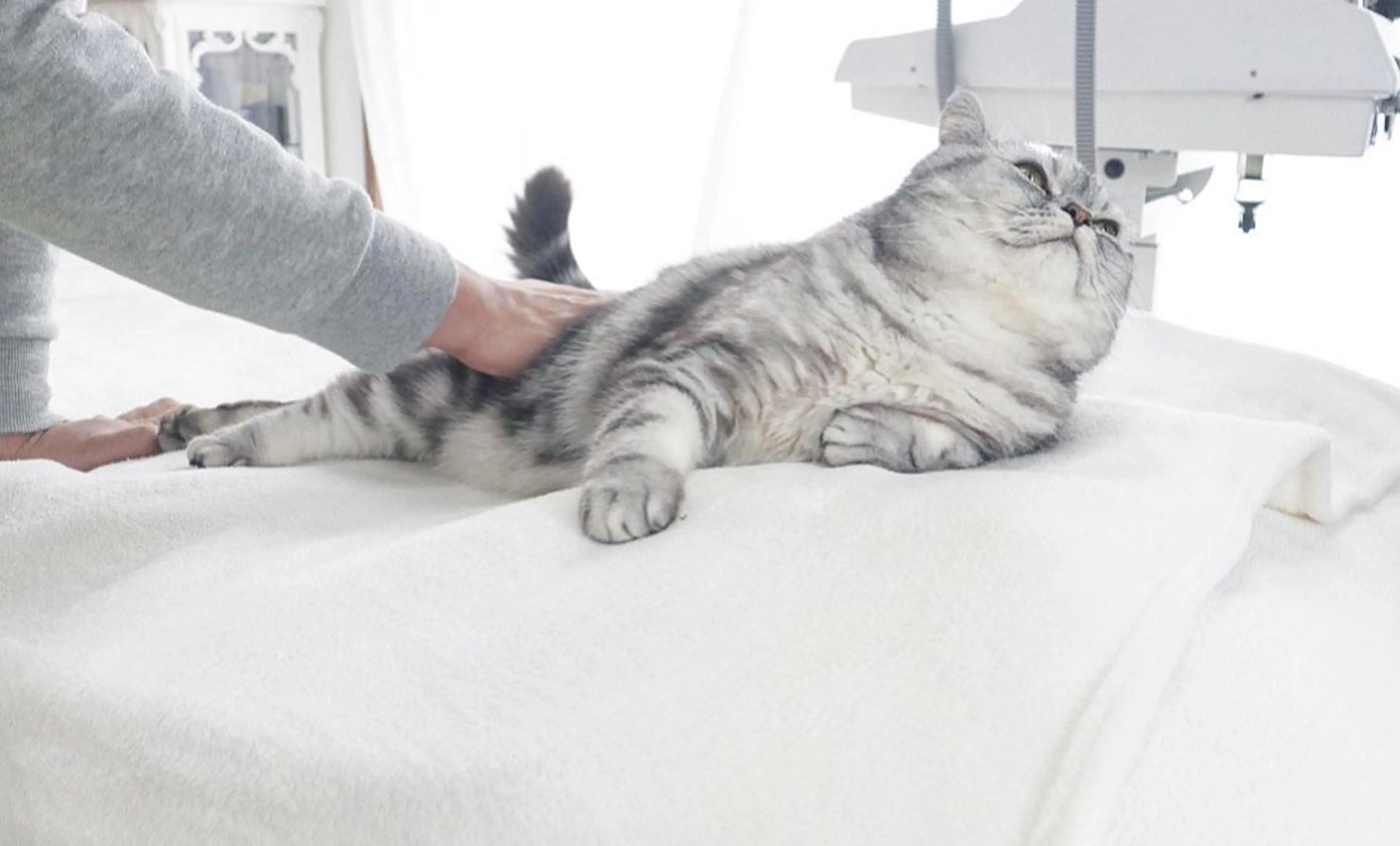 RENsalon大阪 体質改善リトリートのエステ・リラクイメージ