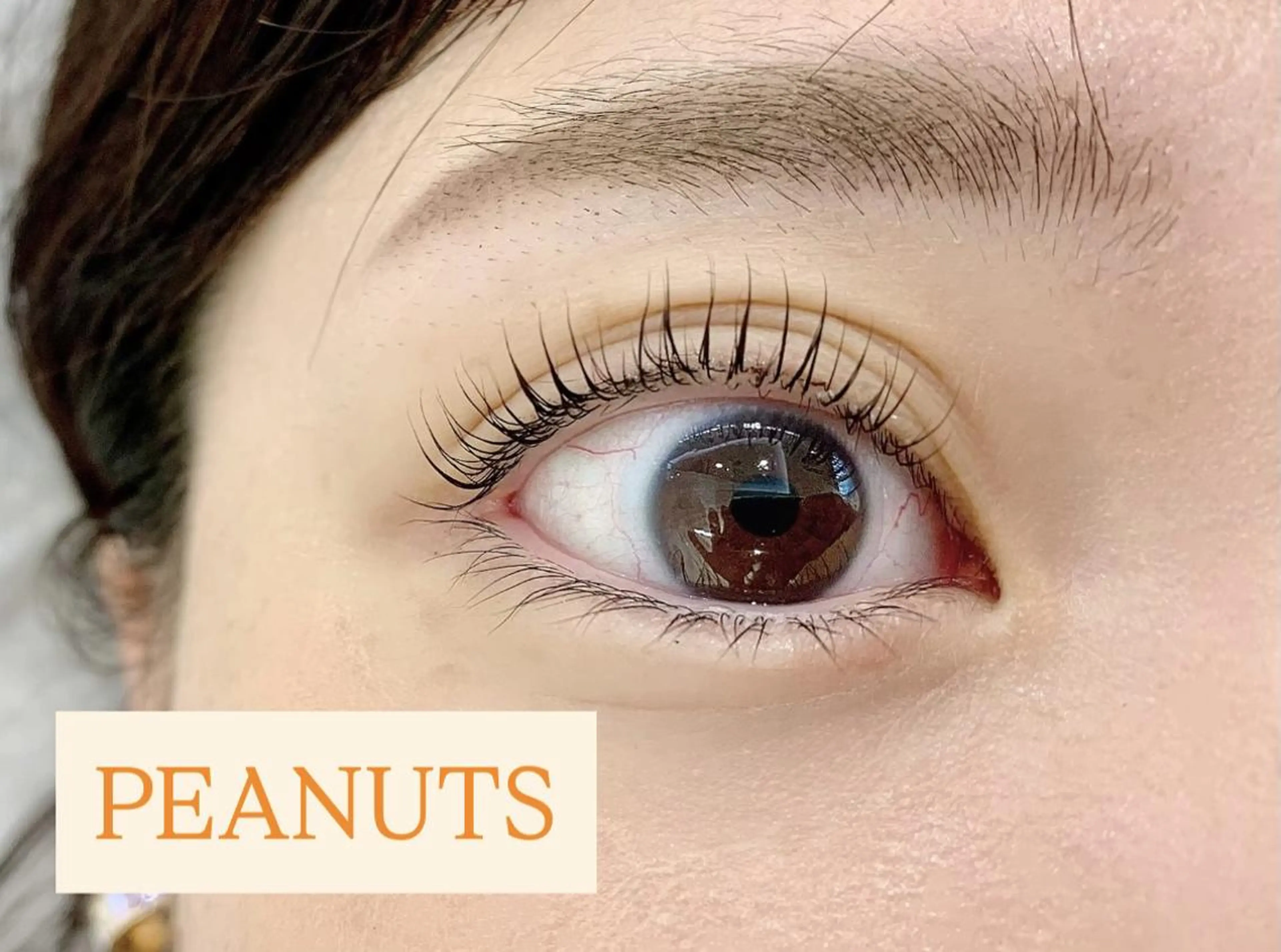 マツエク・マツパ マツパ プラスアイ 蒲田西口店のマツエク・マツパデザイン