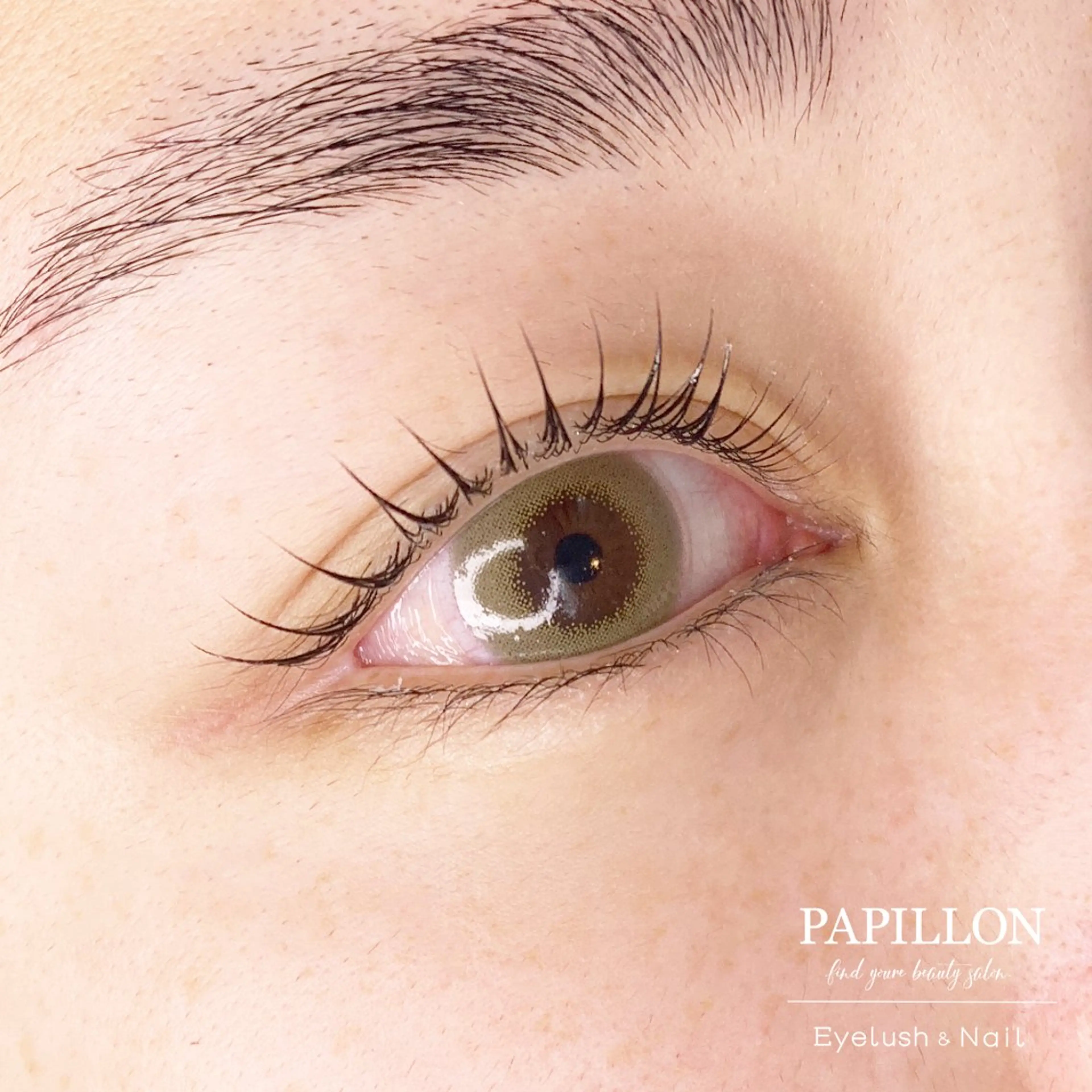 初回限定 Jr. 似合わせラッシュリフト/まつ毛パーマ アフターフォロー付き♡の写真