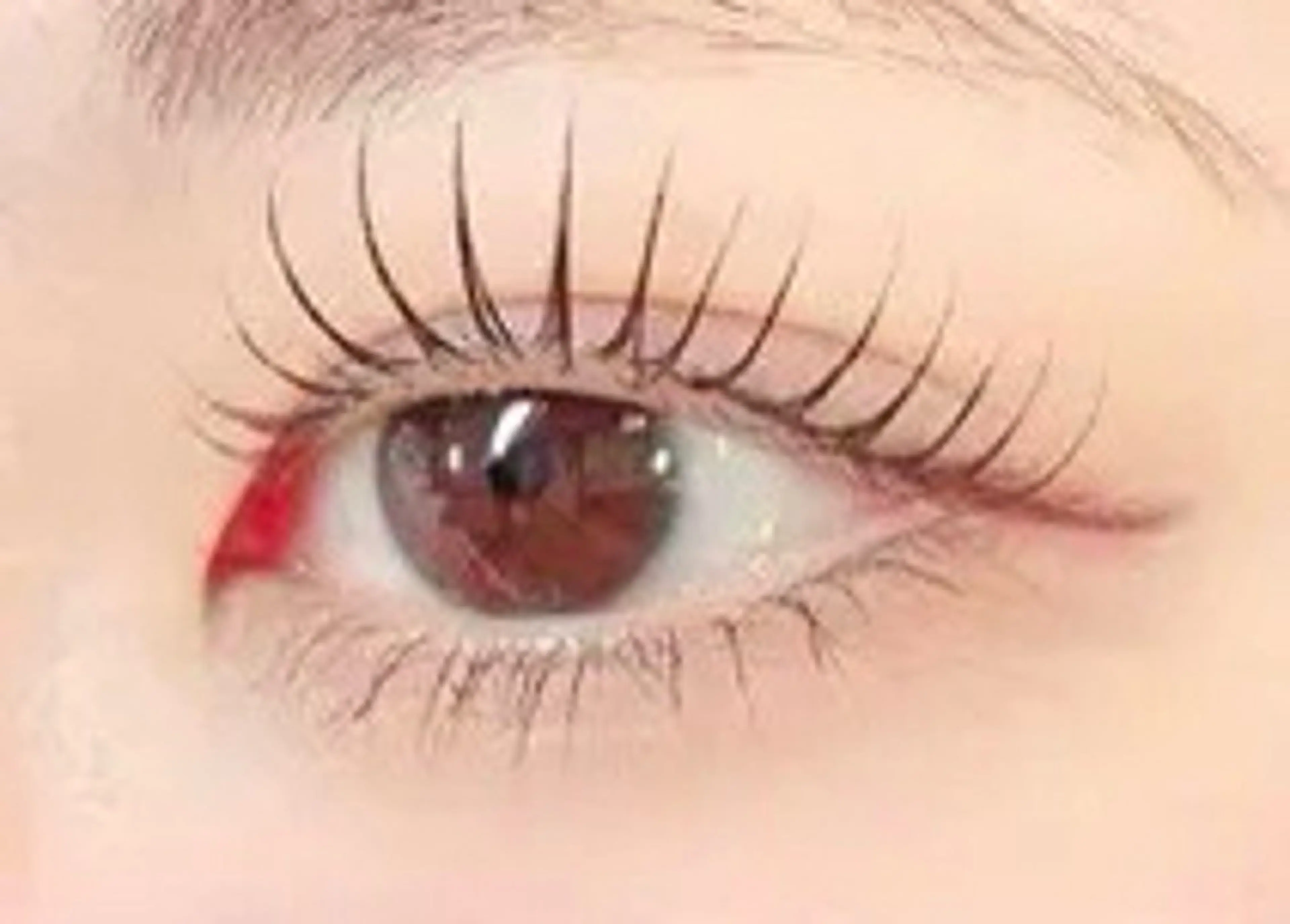 🎀パリジェンヌor韓国まつげパーマ🎀の写真