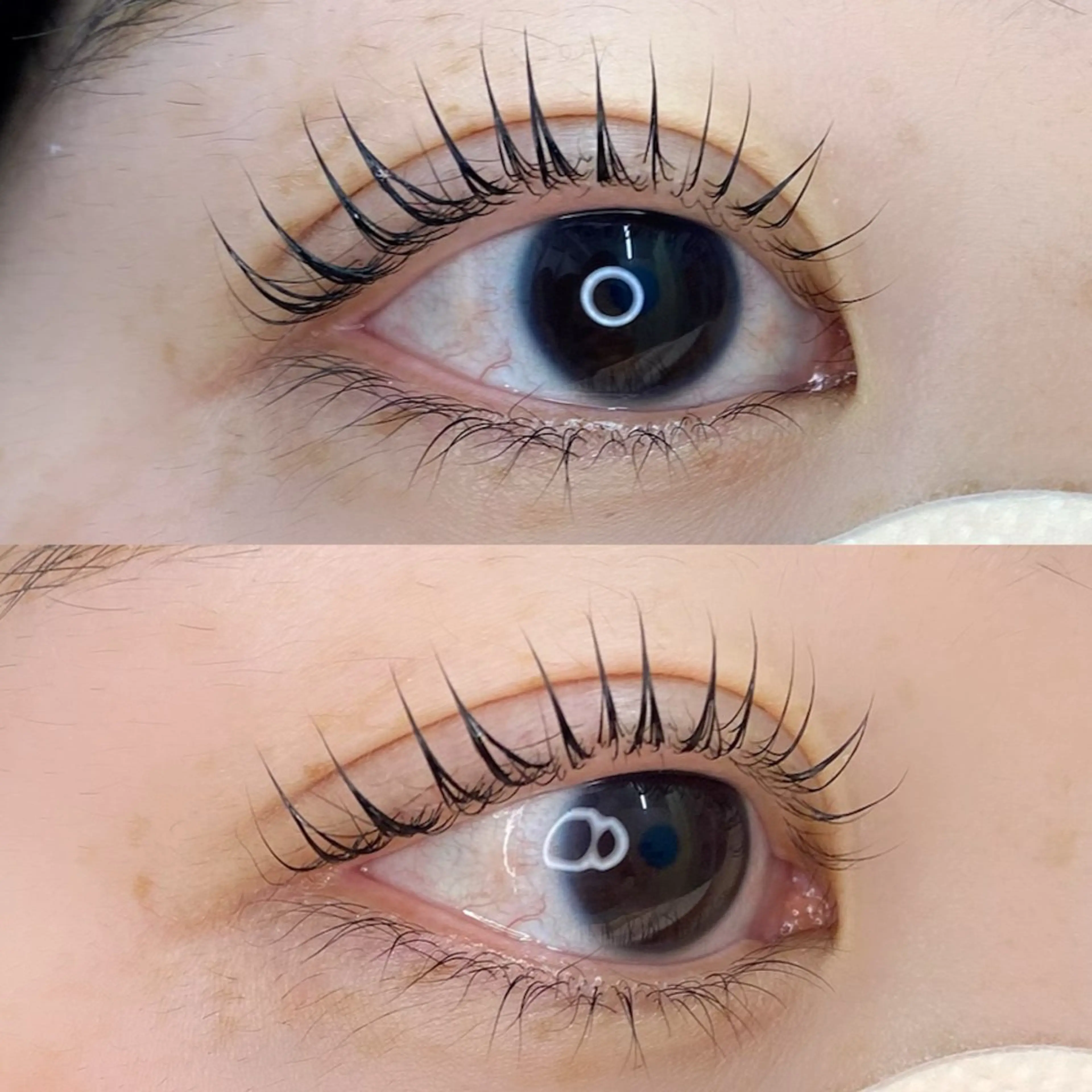 マツエク・マツパ Jessica 森のマツエク・マツパデザイン