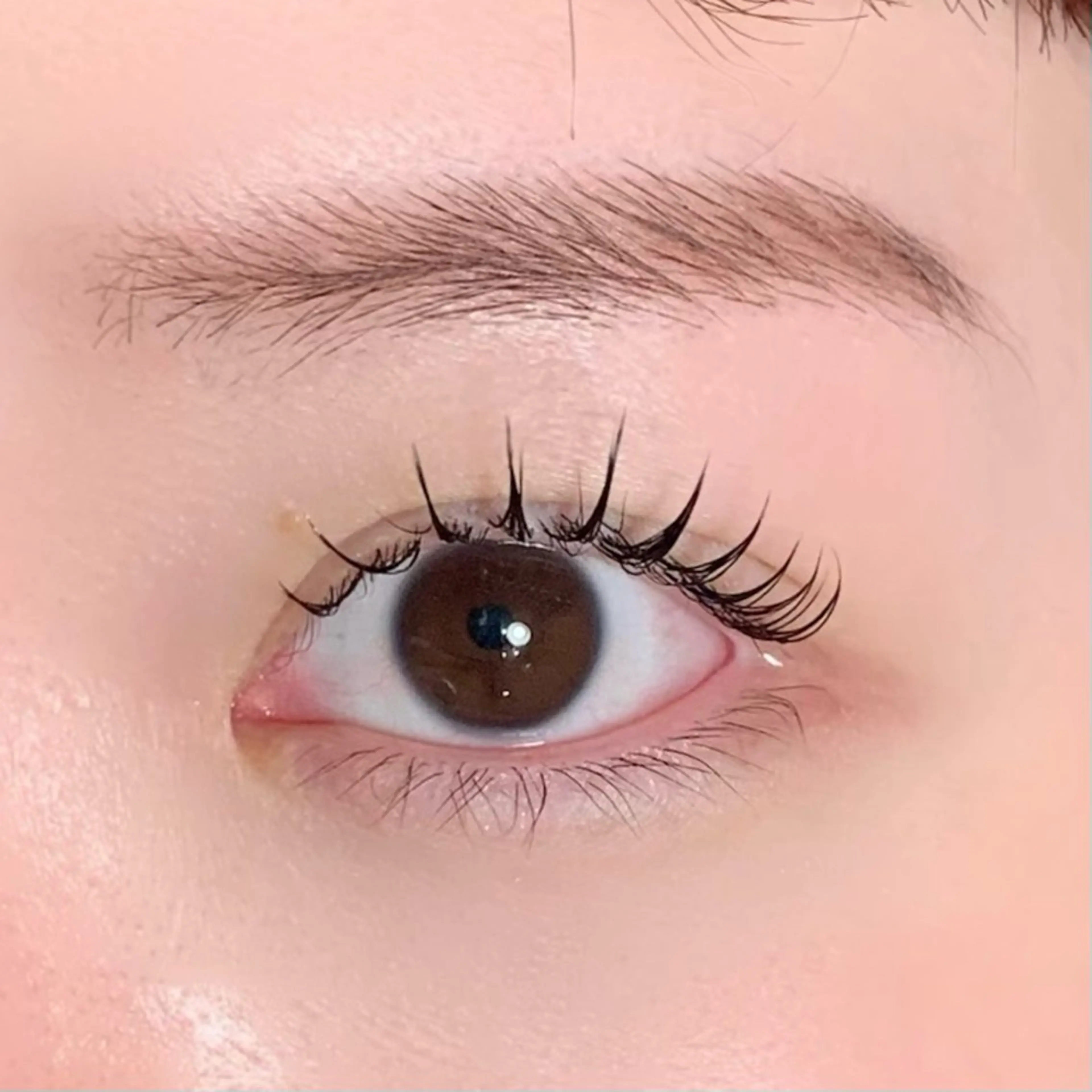 マツエク・マツパ [KOKO.] eyelash所属・KOKO. eye MIKIのマツエク・マツパデザイン