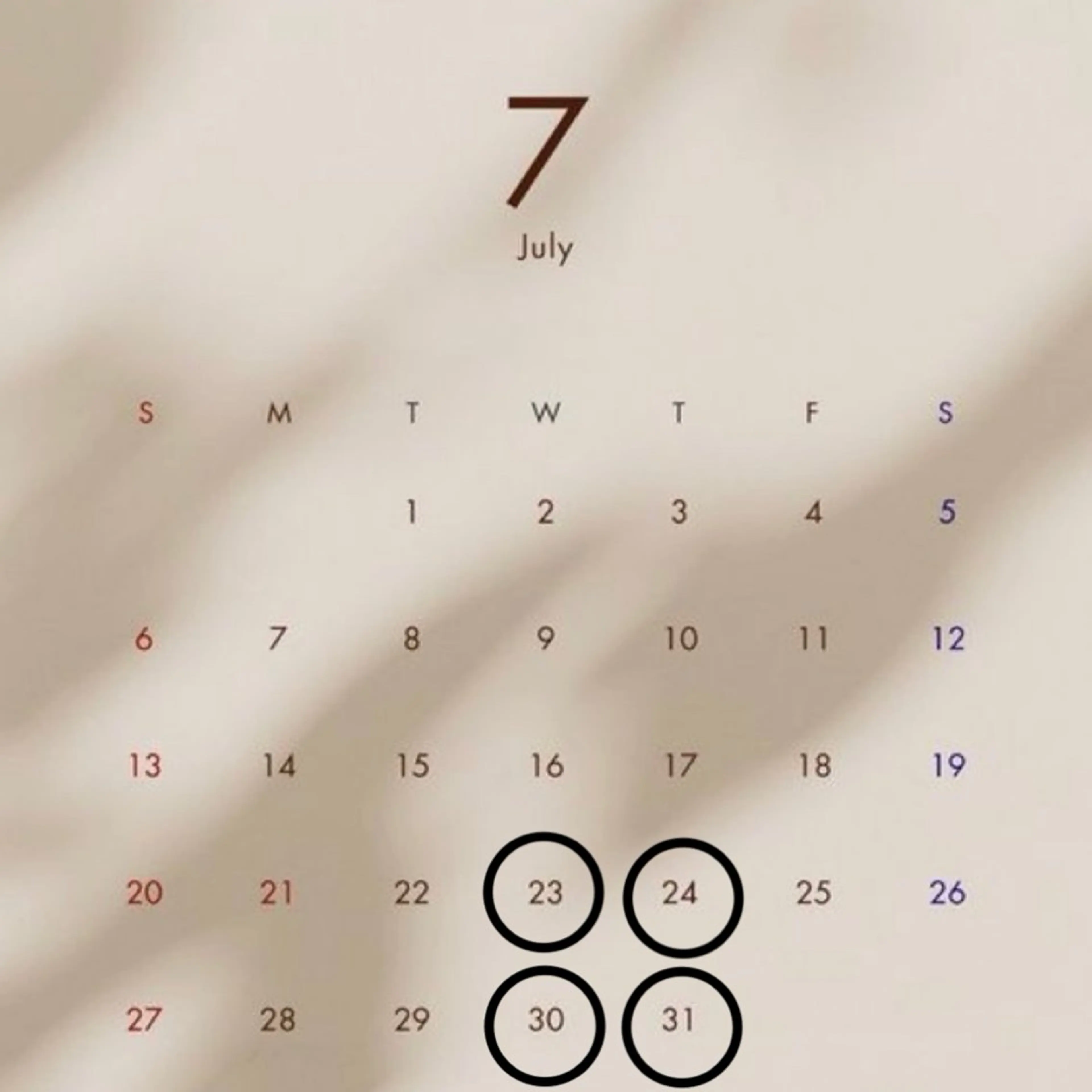 ロング 佐藤 杏奈のヘアスタイル