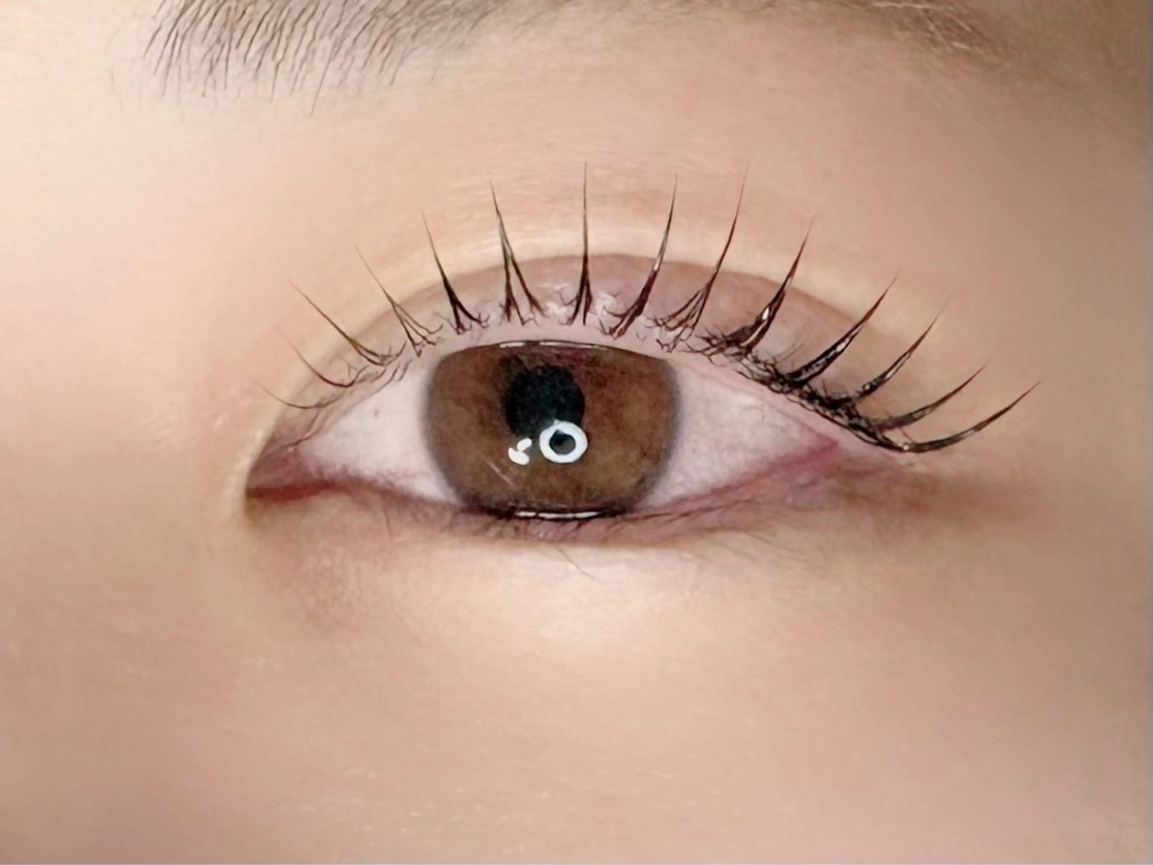 マツエク・マツパ マツパ Chisato🤍池 袋/マツパ/マツエクのマツエク・マツパデザイン