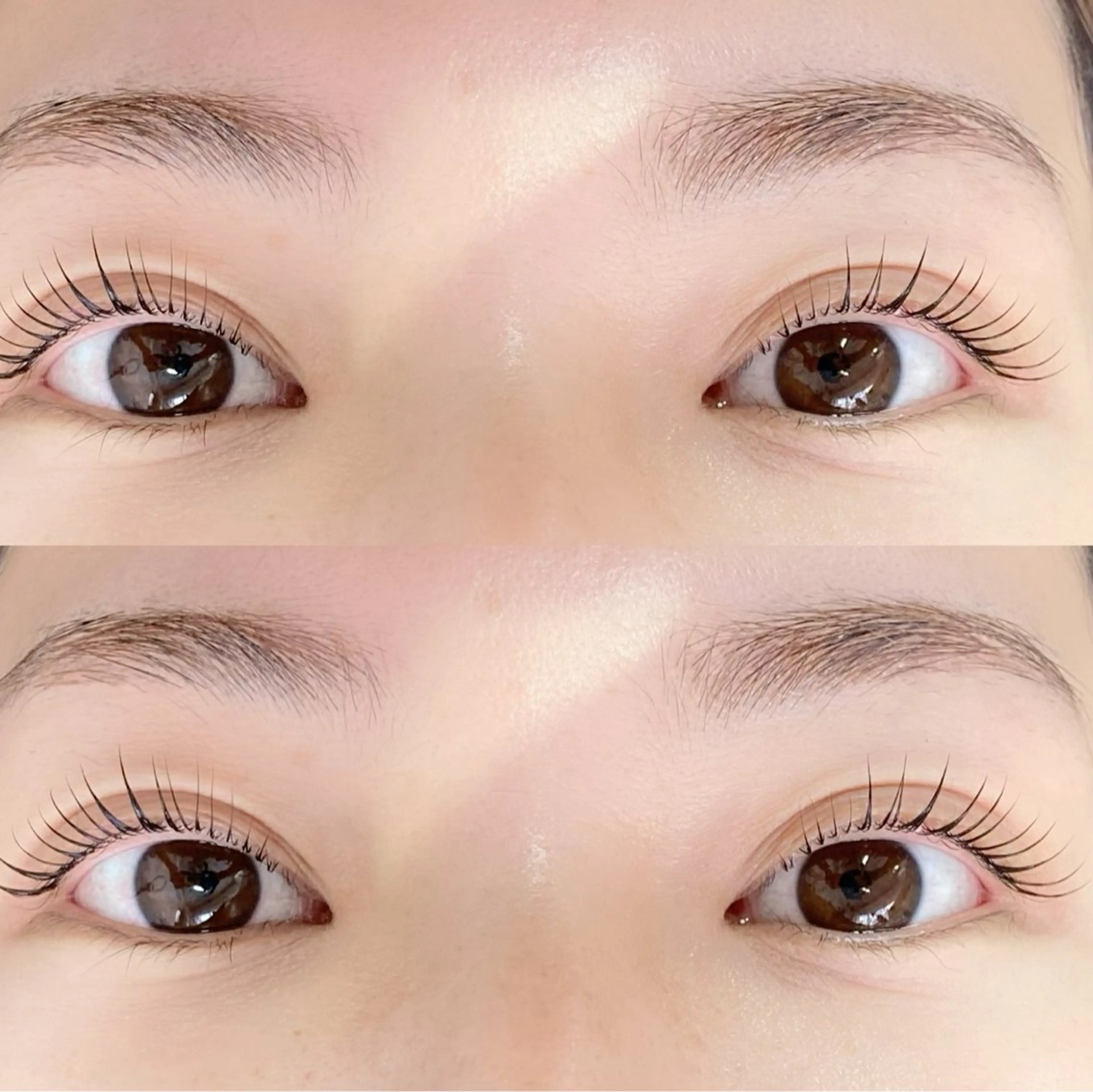 マツエク・マツパ Y.eyelash 赤羽/志茂のマツエク・マツパデザイン