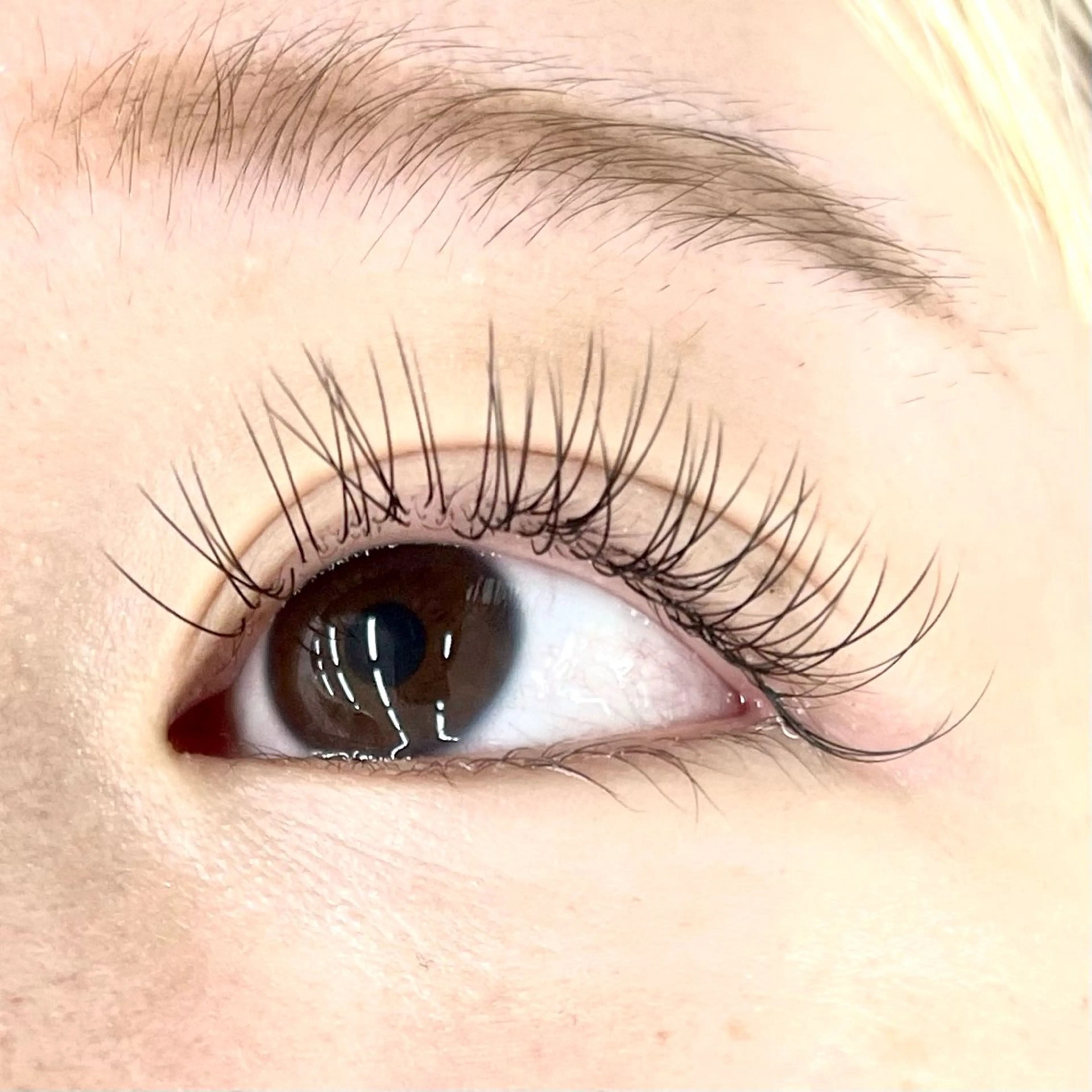 マツエク・マツパ Eyelash 大阪梅田 MAXKELLY【アイラッシュ ウメダ マックスケリー】所属・🦋maxkelly .mizuki🦋のマツエク・マツパデザイン