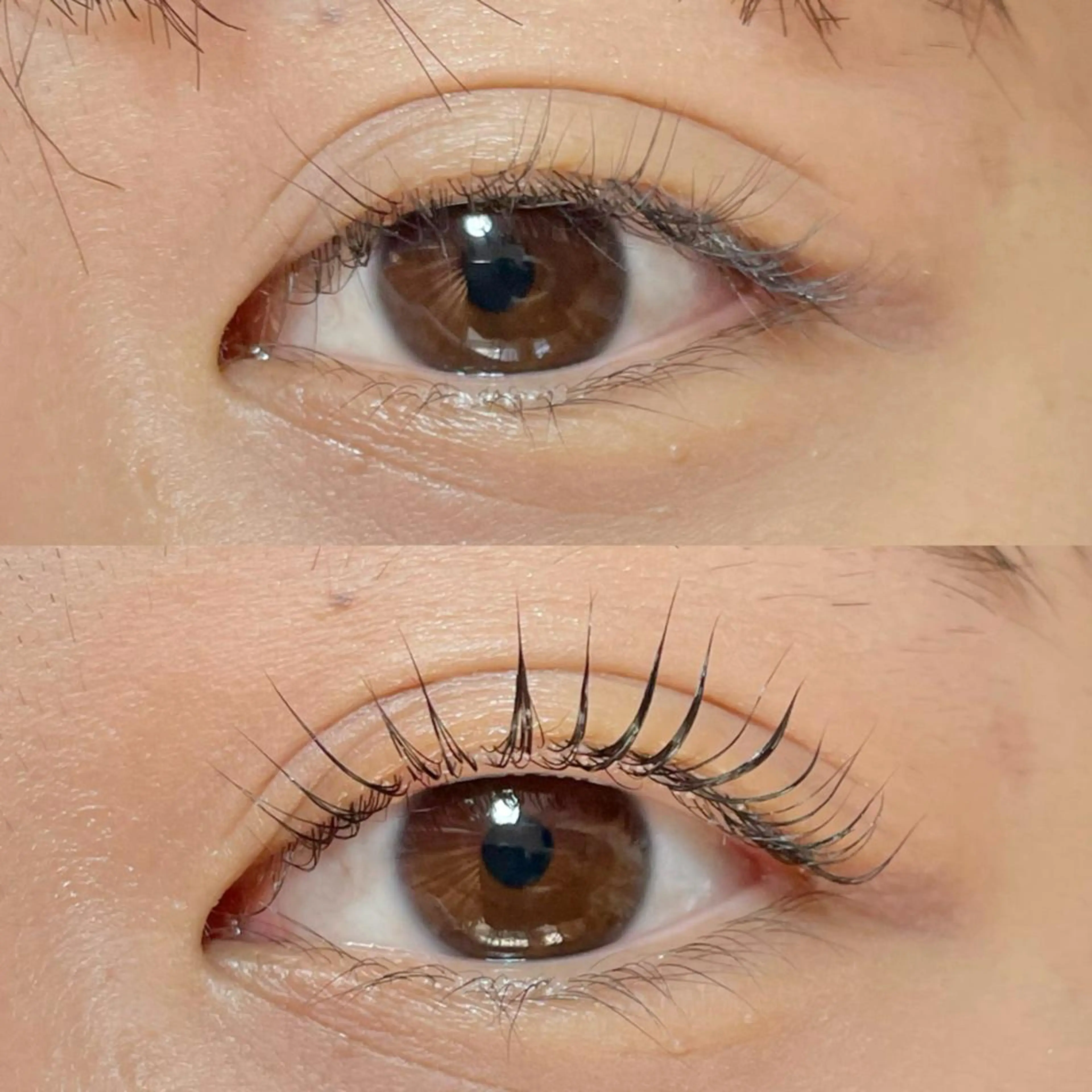 マツエク・マツパ eight eyelash池袋店のマツエク・マツパデザイン