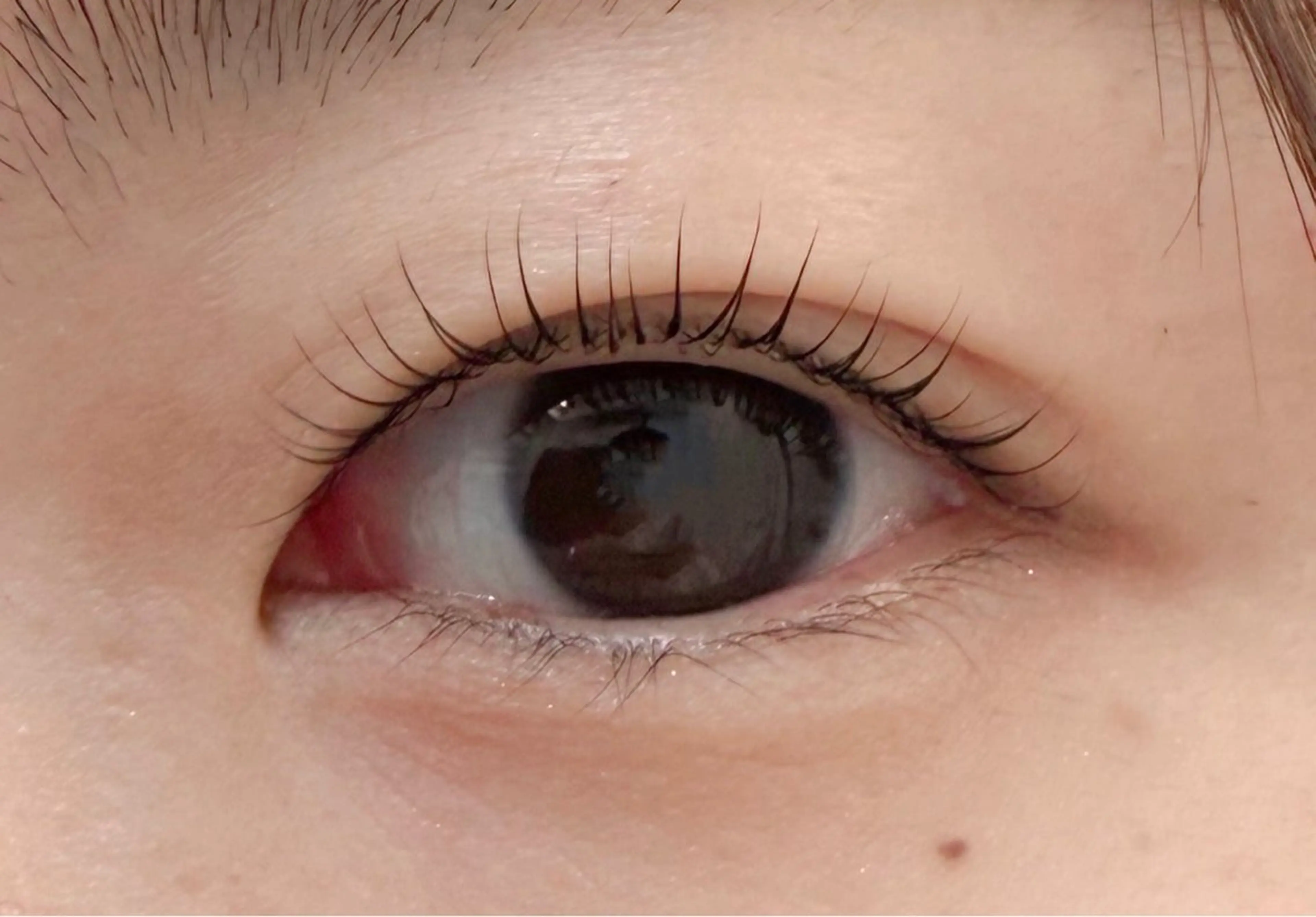 マツエク・マツパ Cカール FIORE  大門 すずかのマツエク・マツパデザイン