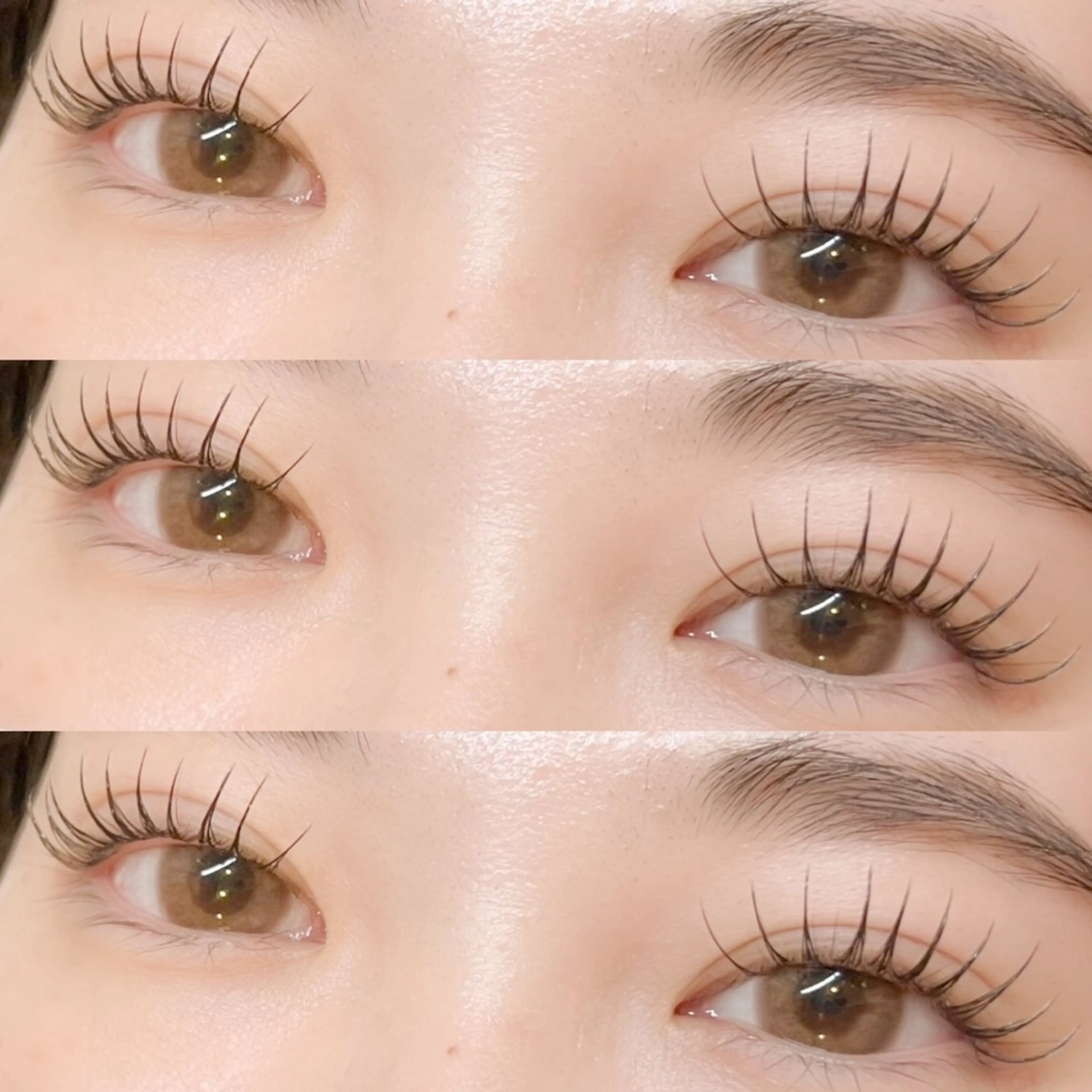 2月4日(水)12時限定🕊️アンドヘルシー/フラットラッシュ80本🤍ྀིの写真