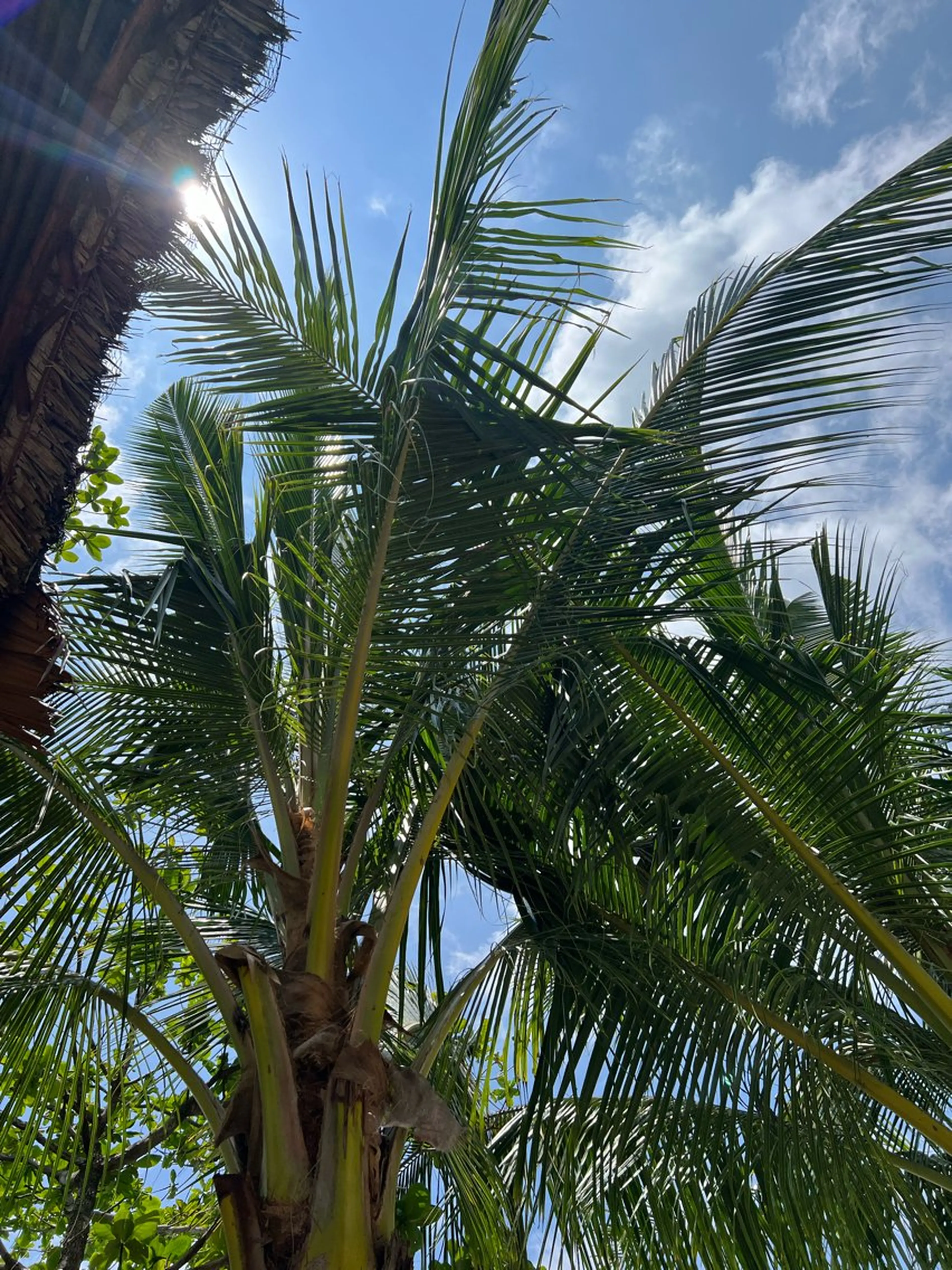 🅖🅤🅩🅔🅛 salonのエステ・リラクイメージ