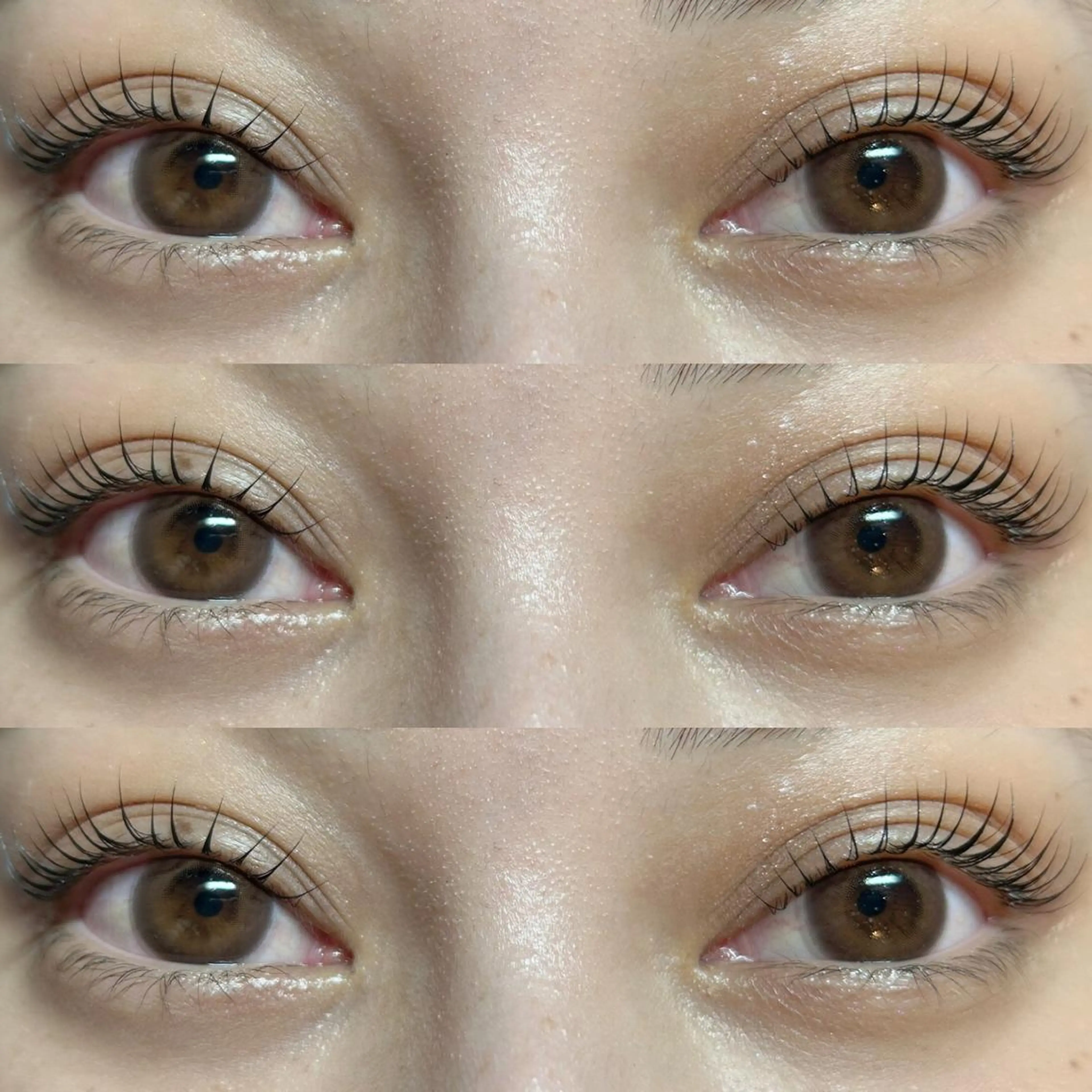 🎀ラッシュリフトorパリジェンヌ🎀の写真