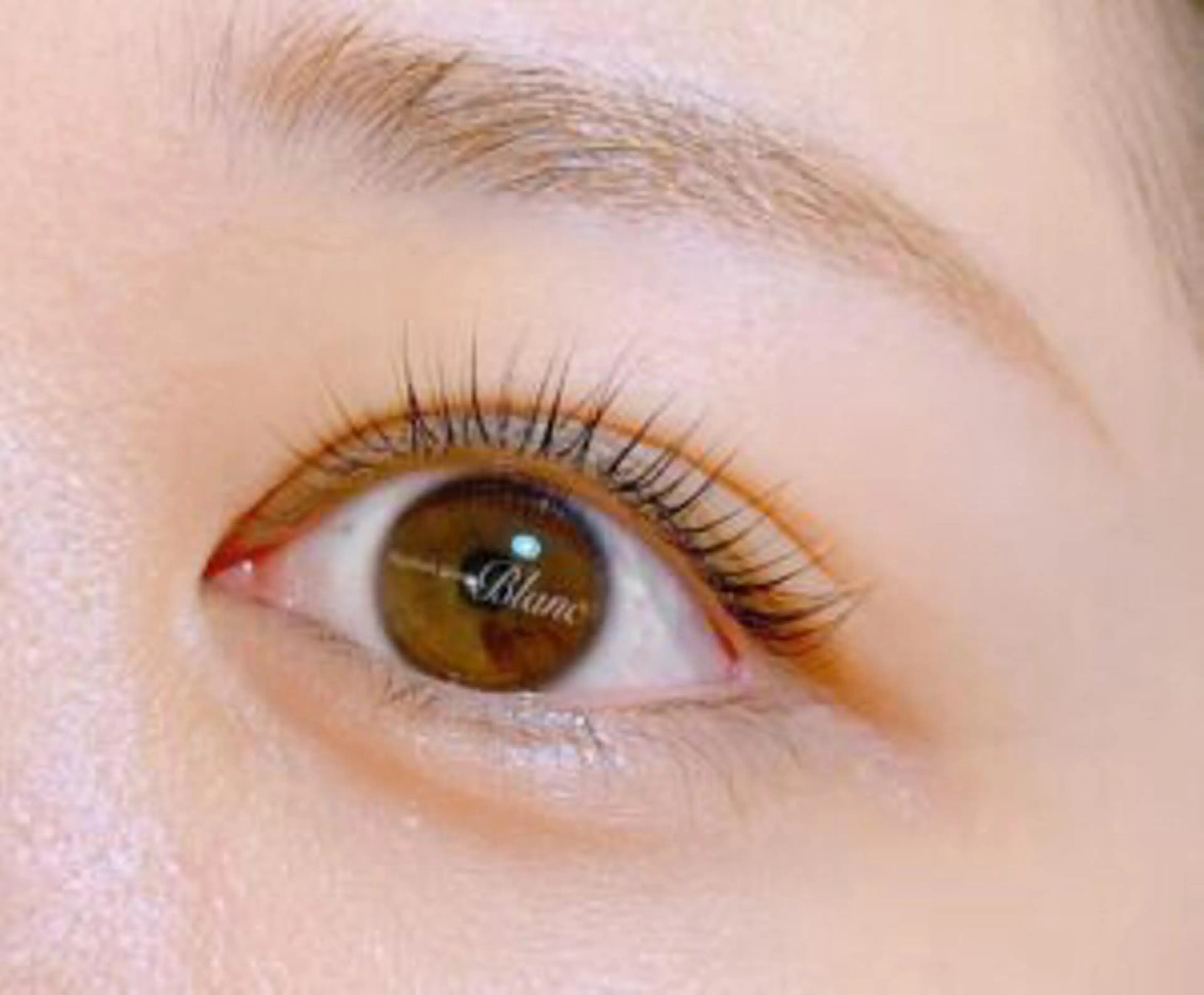 マツエク・マツパ マツパ ミイア 東陽町のマツエク・マツパデザイン