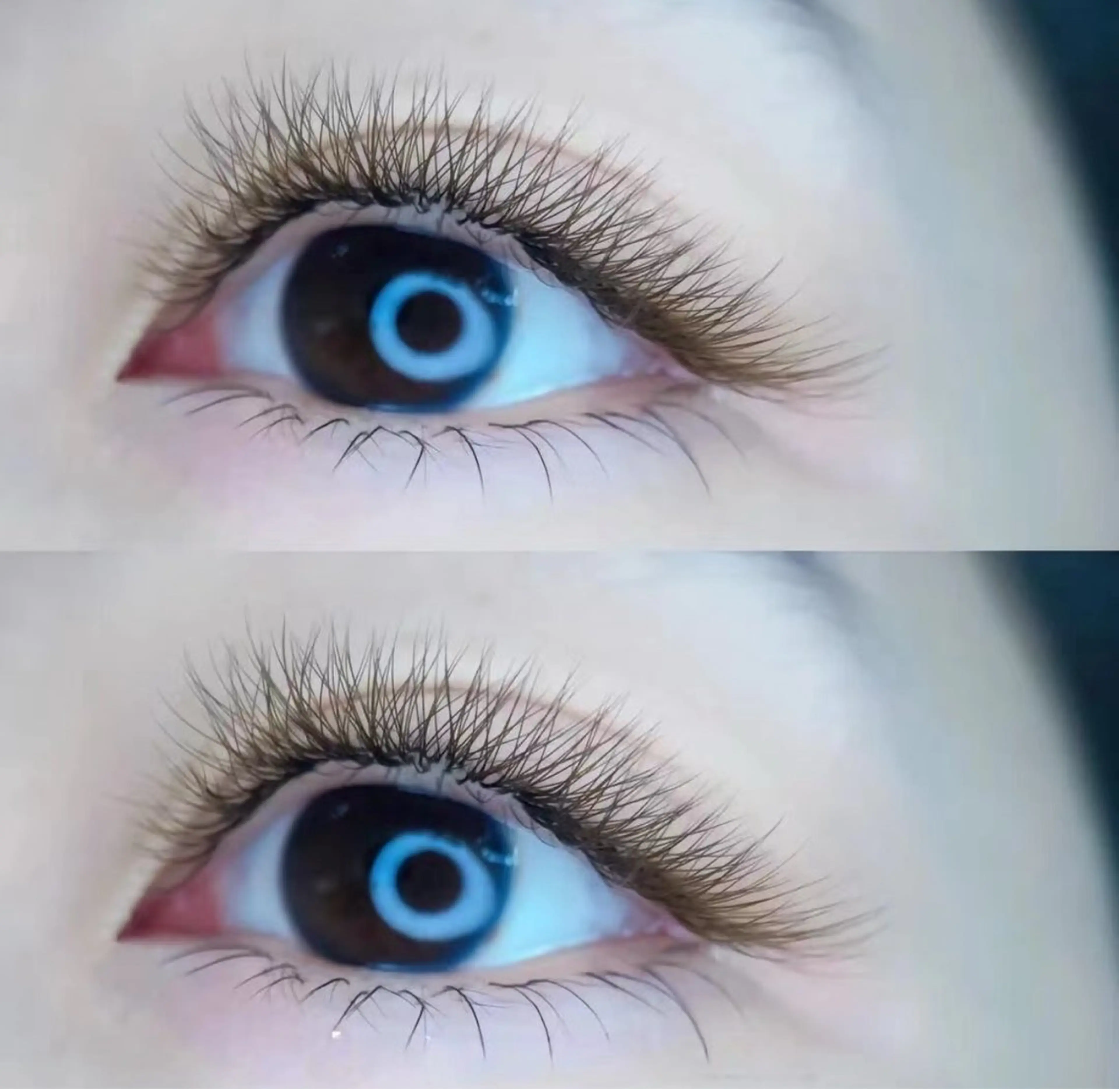 マツエク・マツパ マツエク 💫U・mi Daisyのマツエク・マツパデザイン