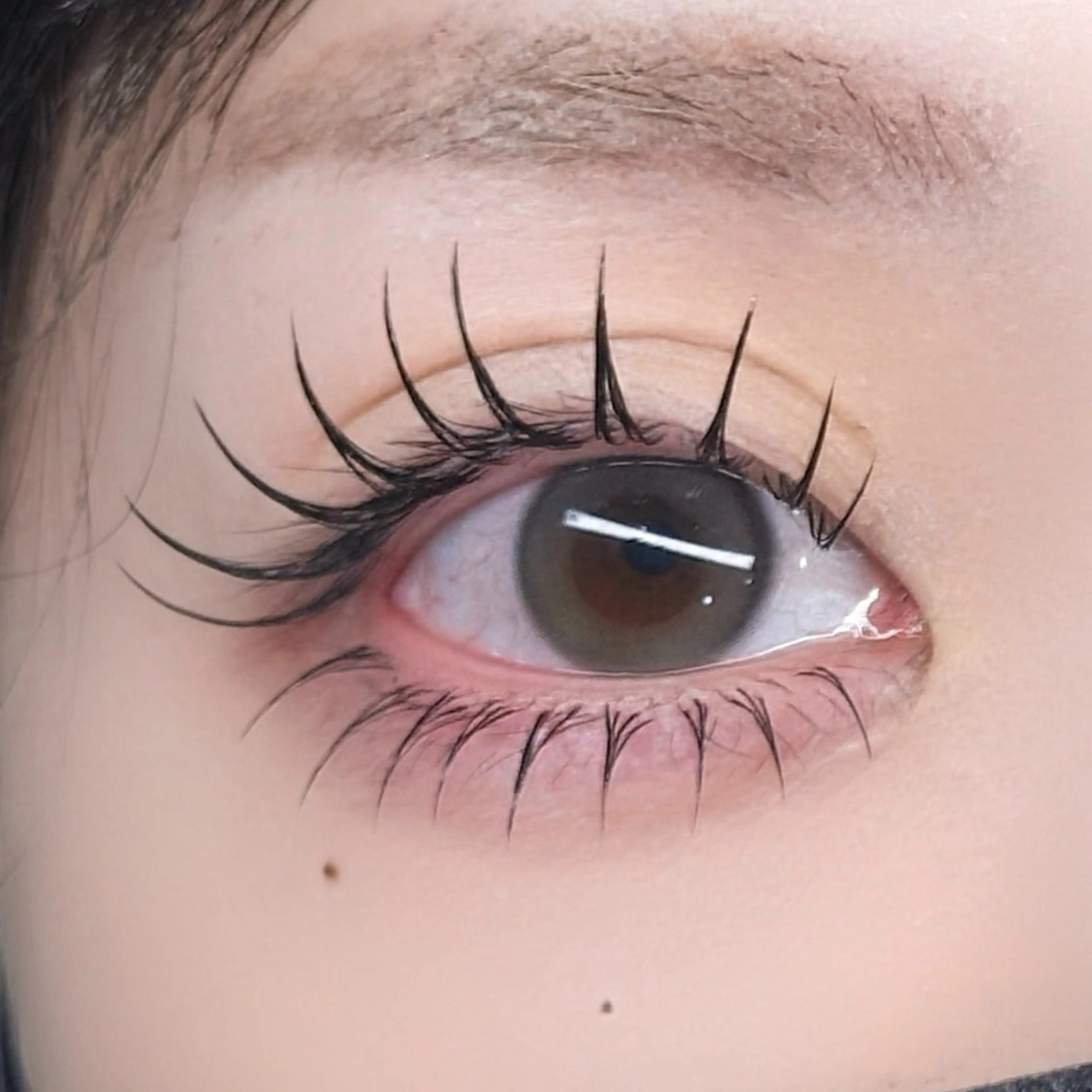 フラットラッシュ160本🐈🤎の写真