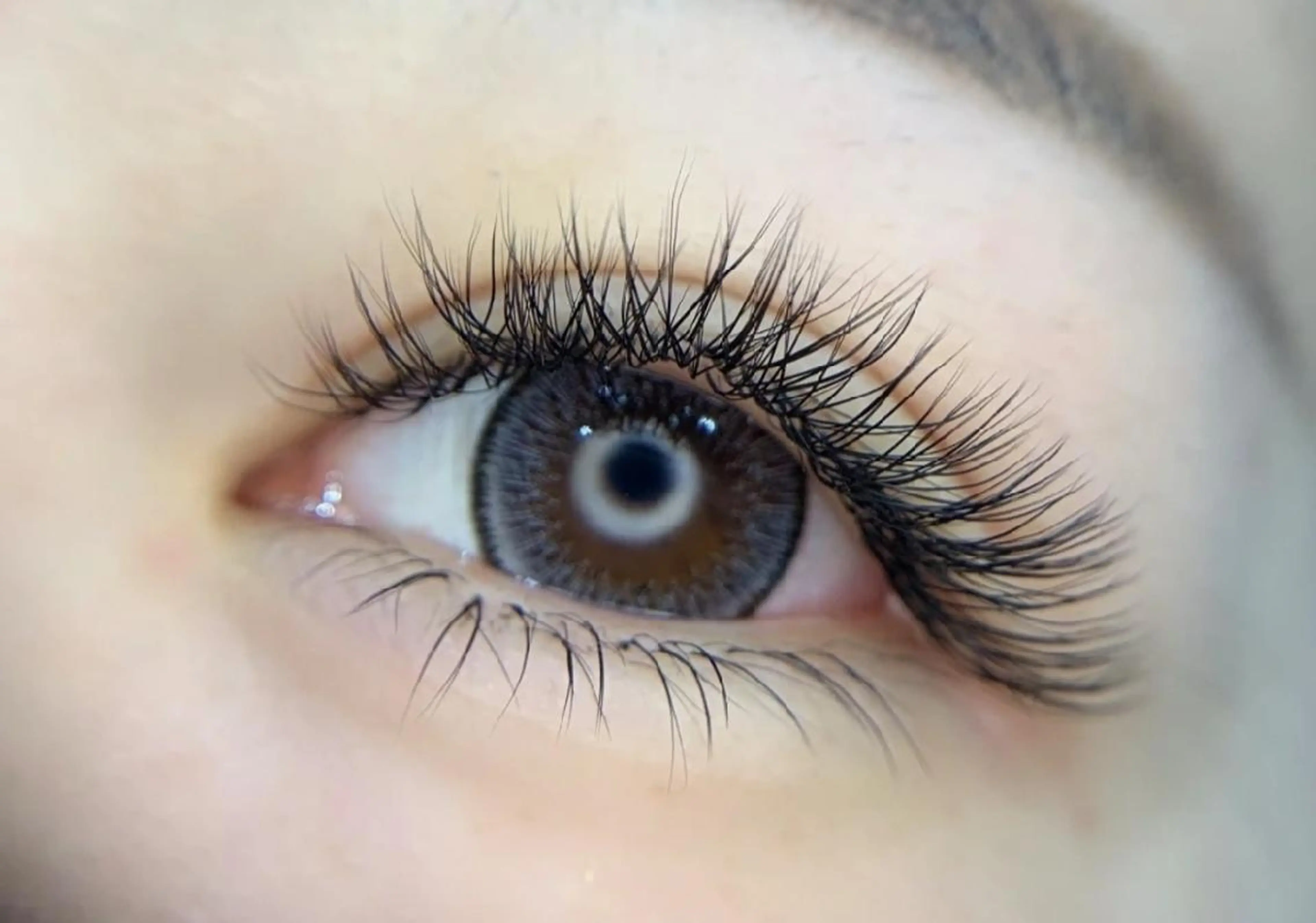 🎅12月限定🎅【YYボリュームラッシュ】💖【YYラッシュ】​〜​100束ブラック& ブラウン/LED 変更可能の写真