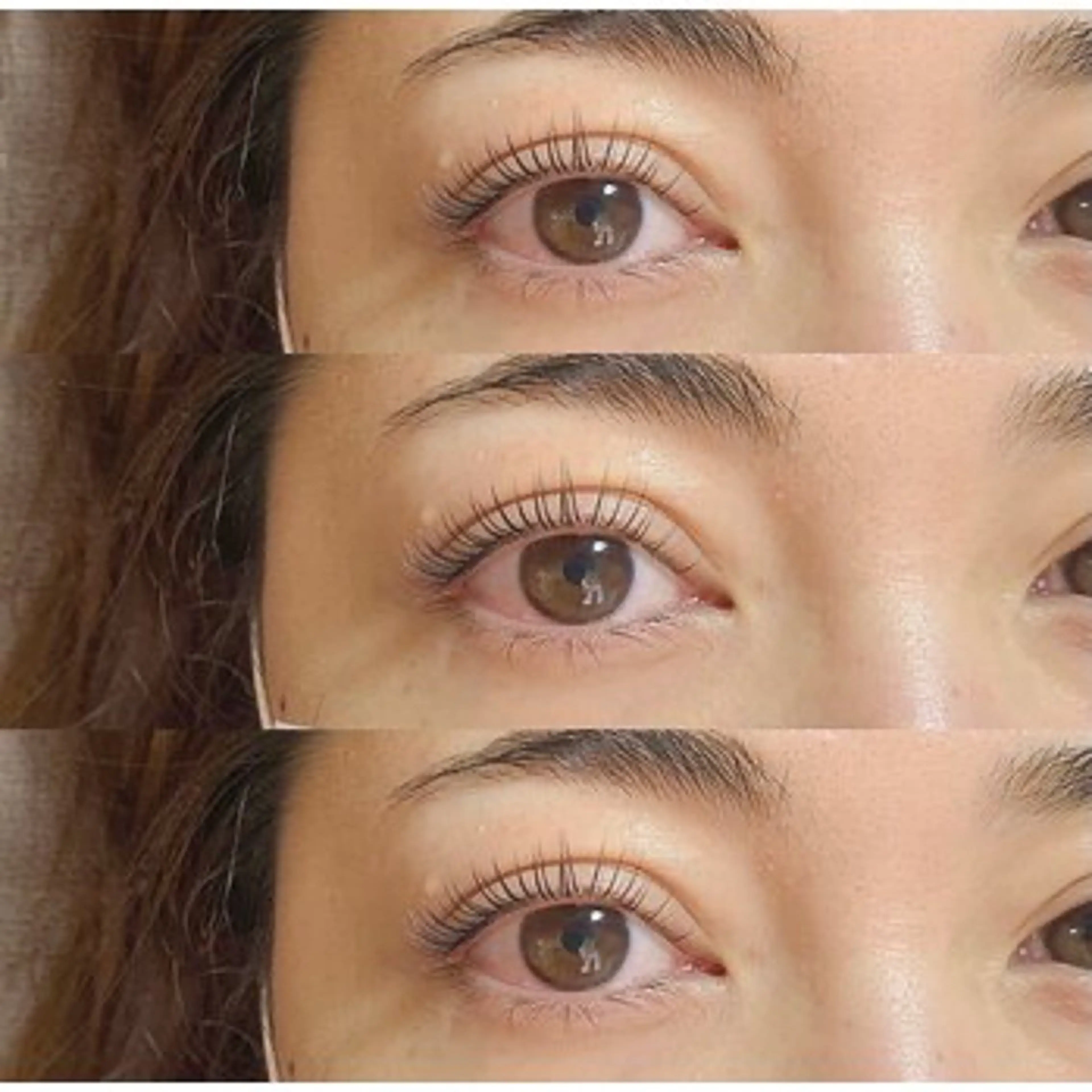 【ご新規様】🦋フラットラッシュ🦋120本の写真